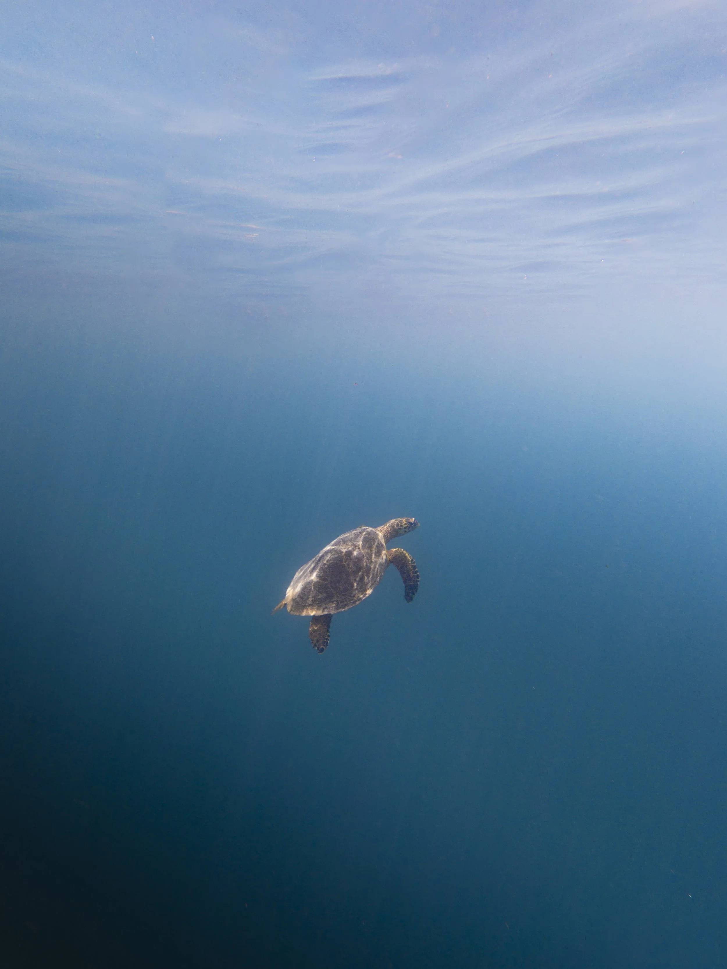 DJI_20251008010411_0168_D_001.jpg