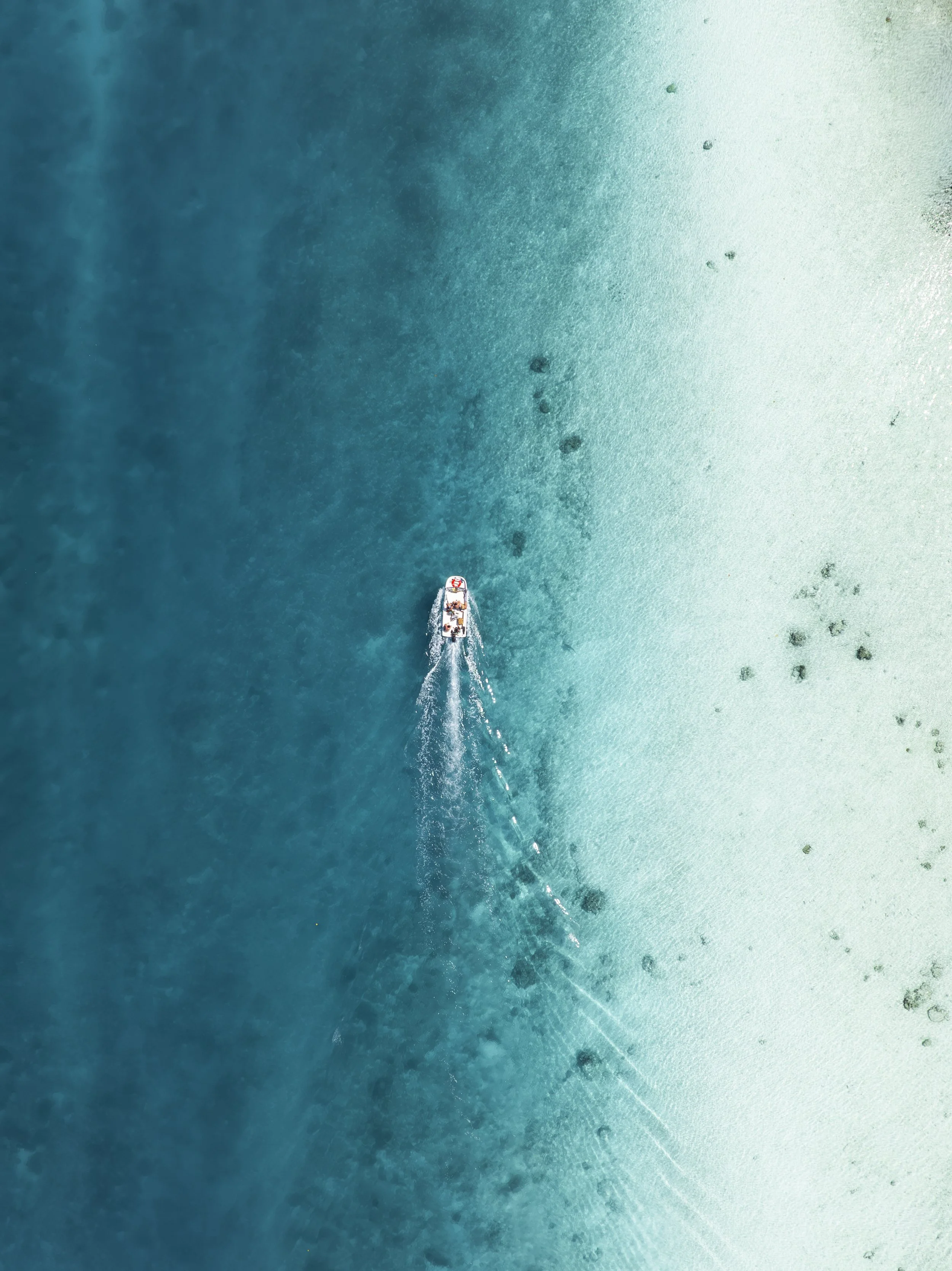 DJI_0101.jpg