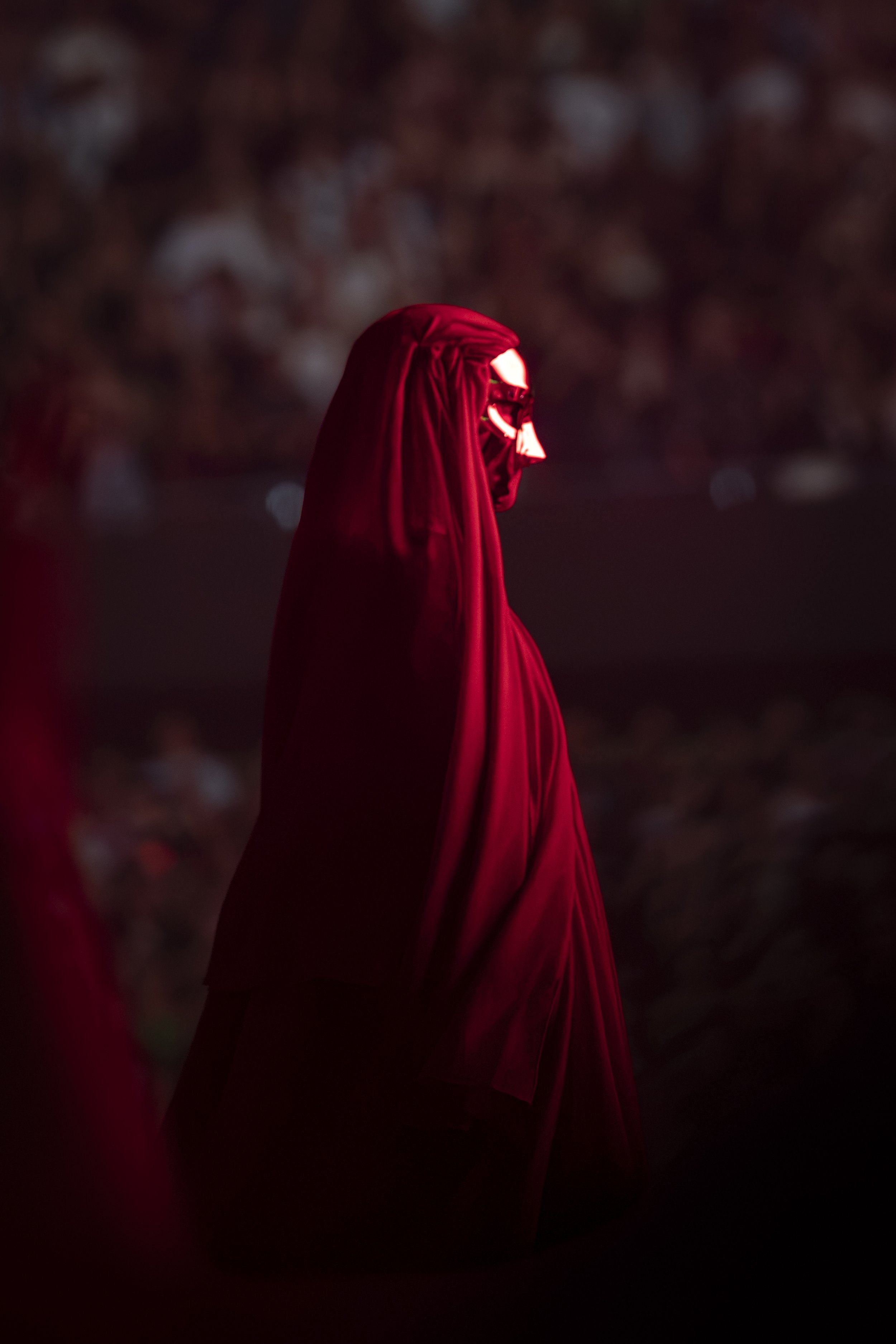 _DSC6801.jpeg