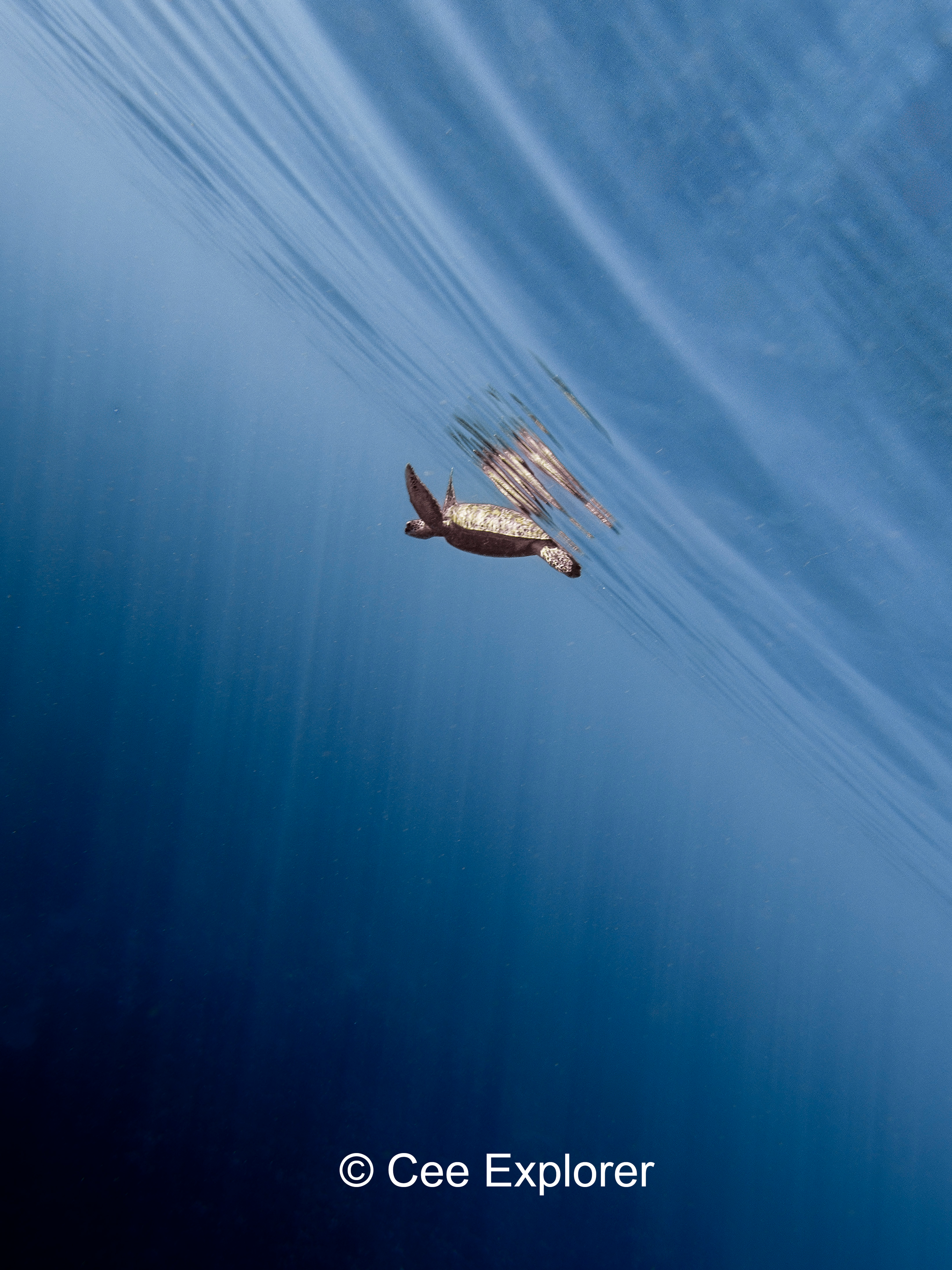 DJI_20251010203022_0368_D_001.png