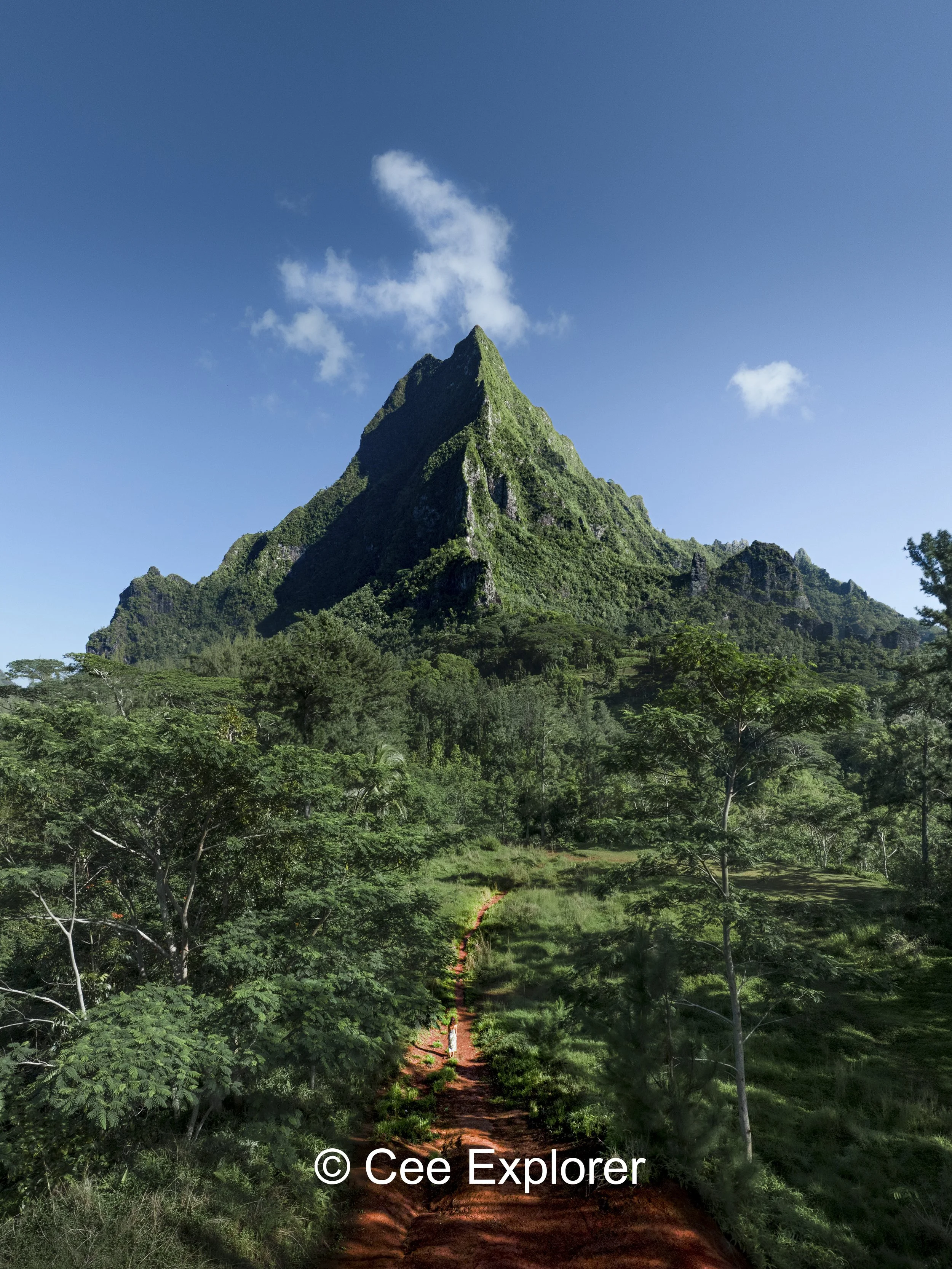 Untitled_Panorama-1.jpg