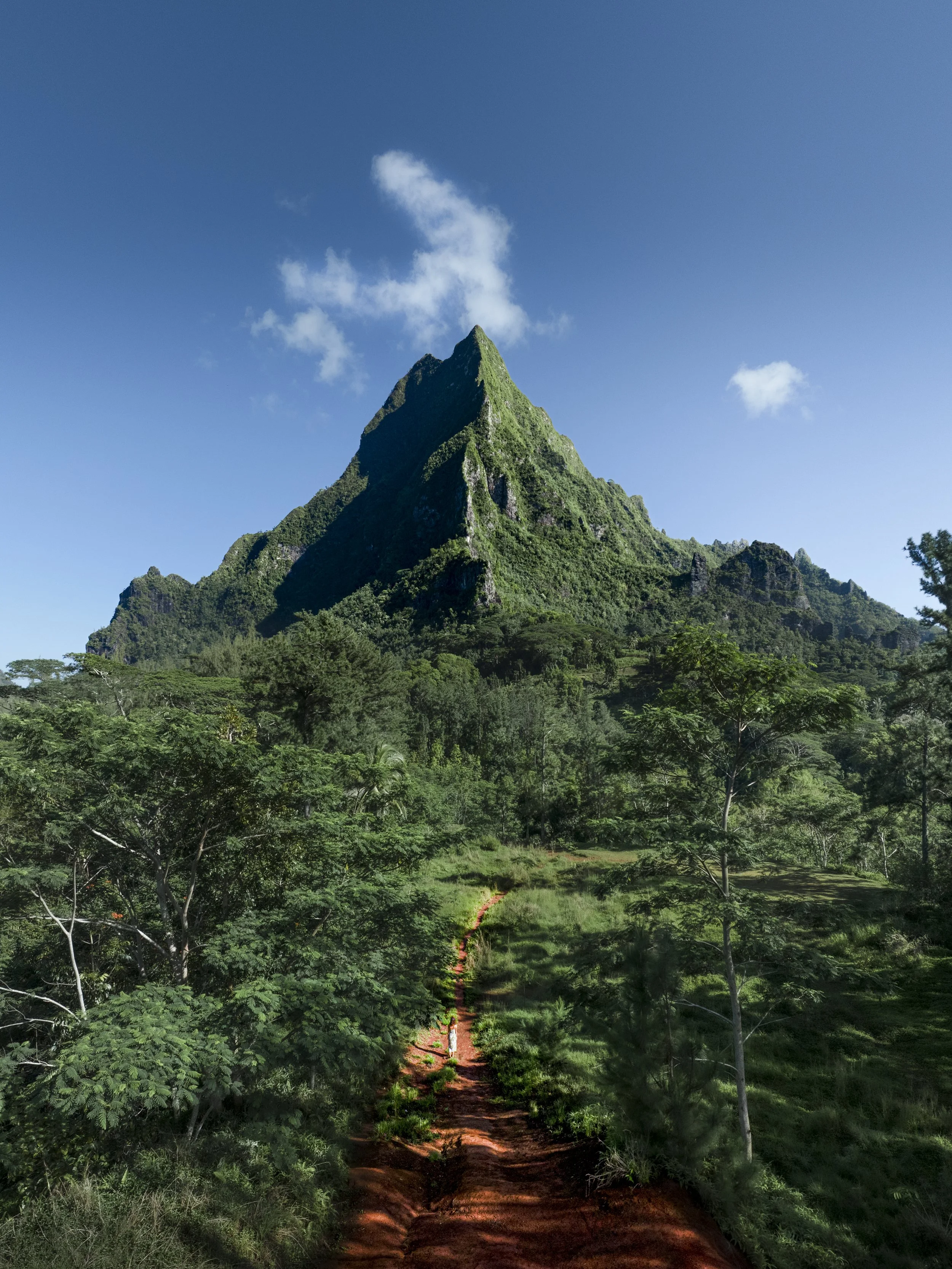 Untitled_Panorama-1.jpg