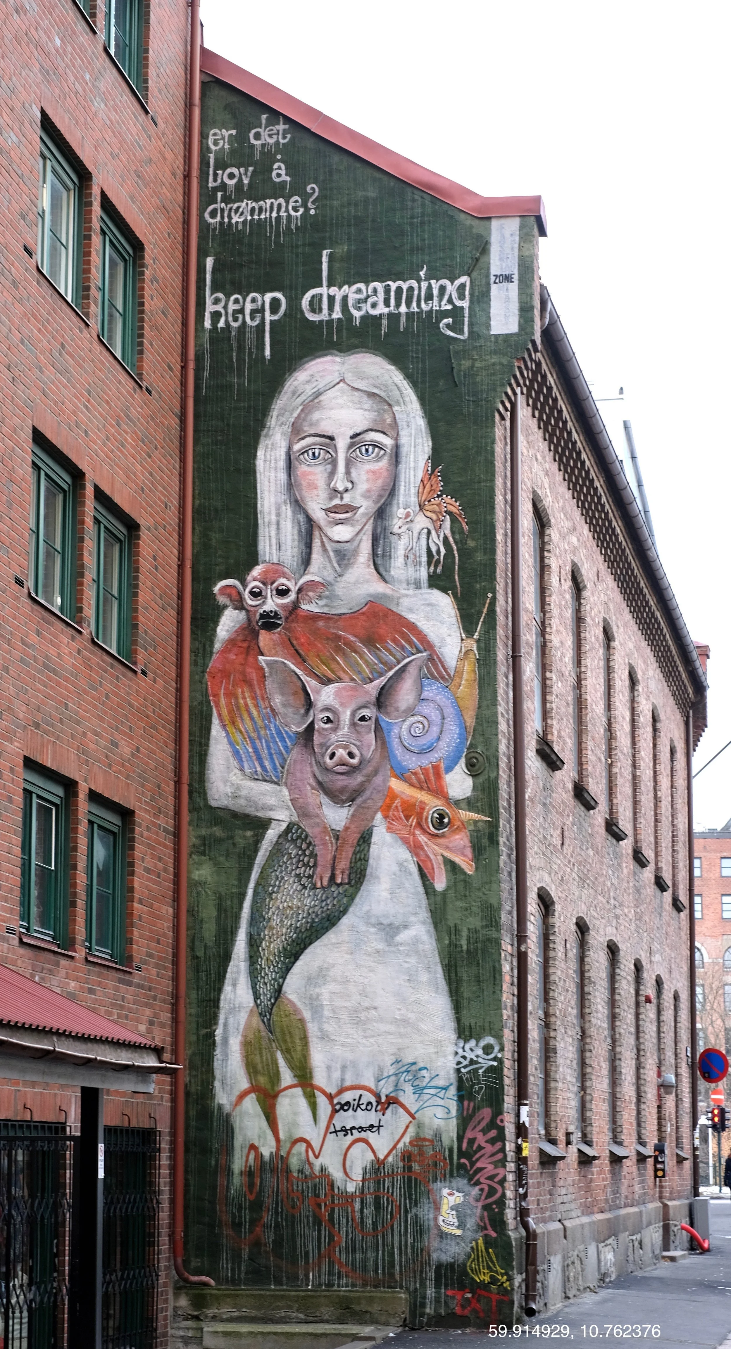 DSCF4367.jpg