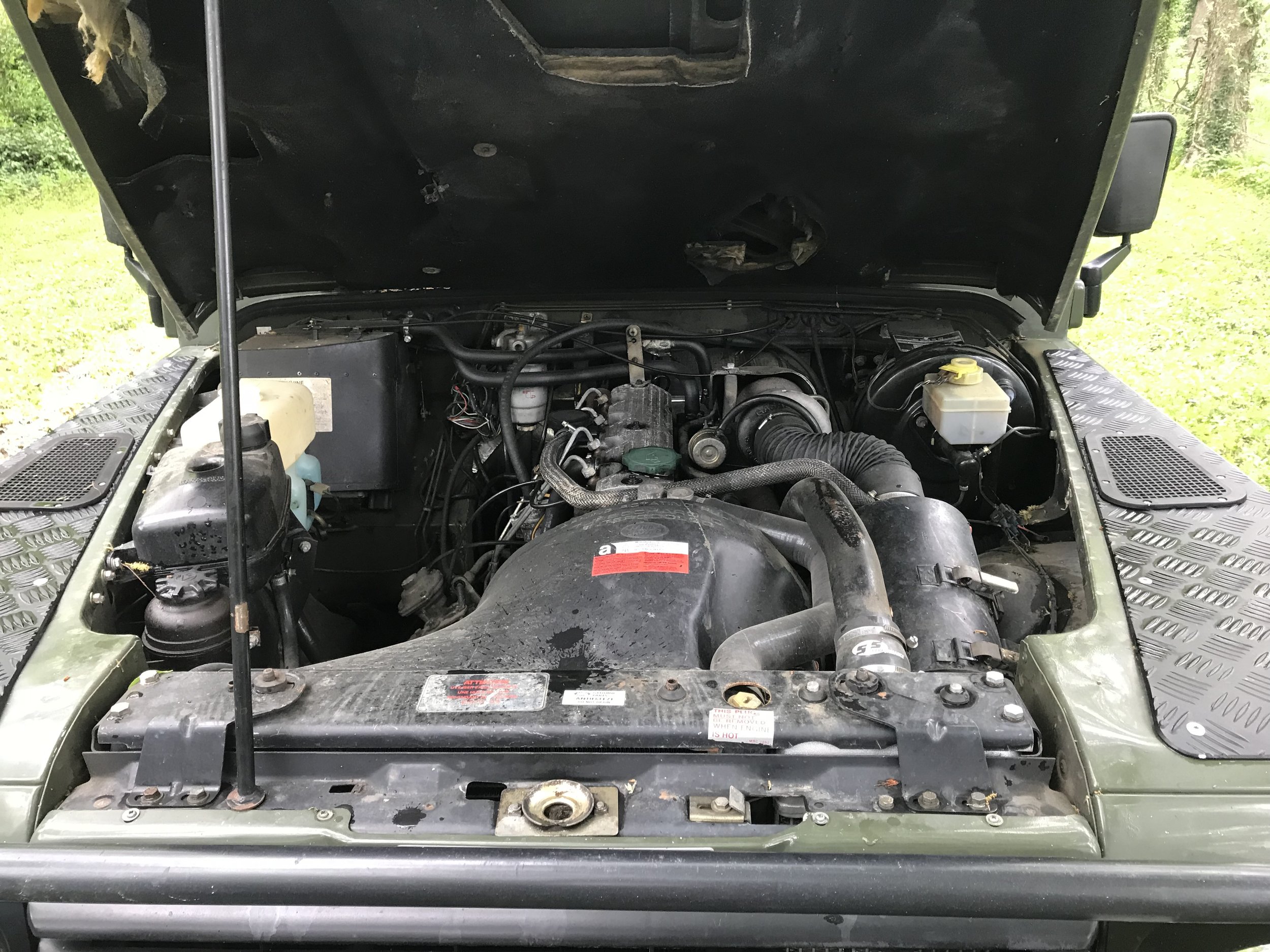 image11.jpeg