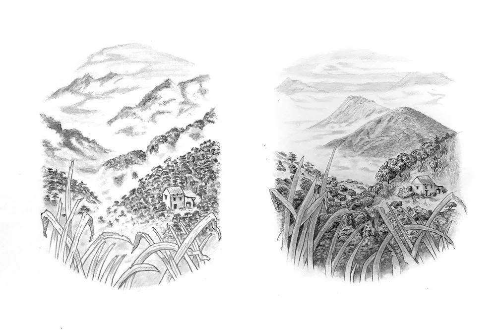 Greg_Newman-Early_Explorations2-Web_2048x2048.jpg