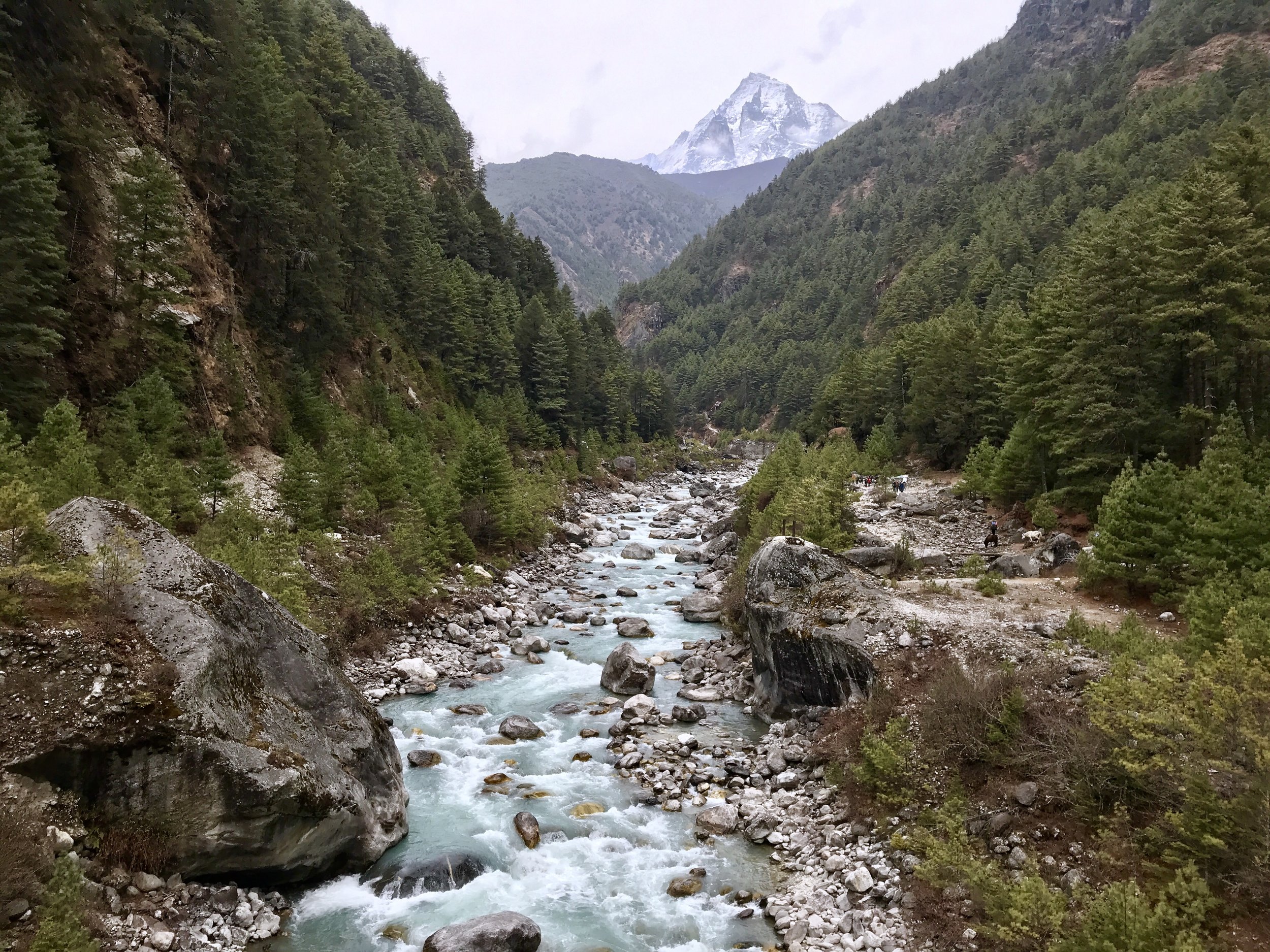 IMG_0487.jpg