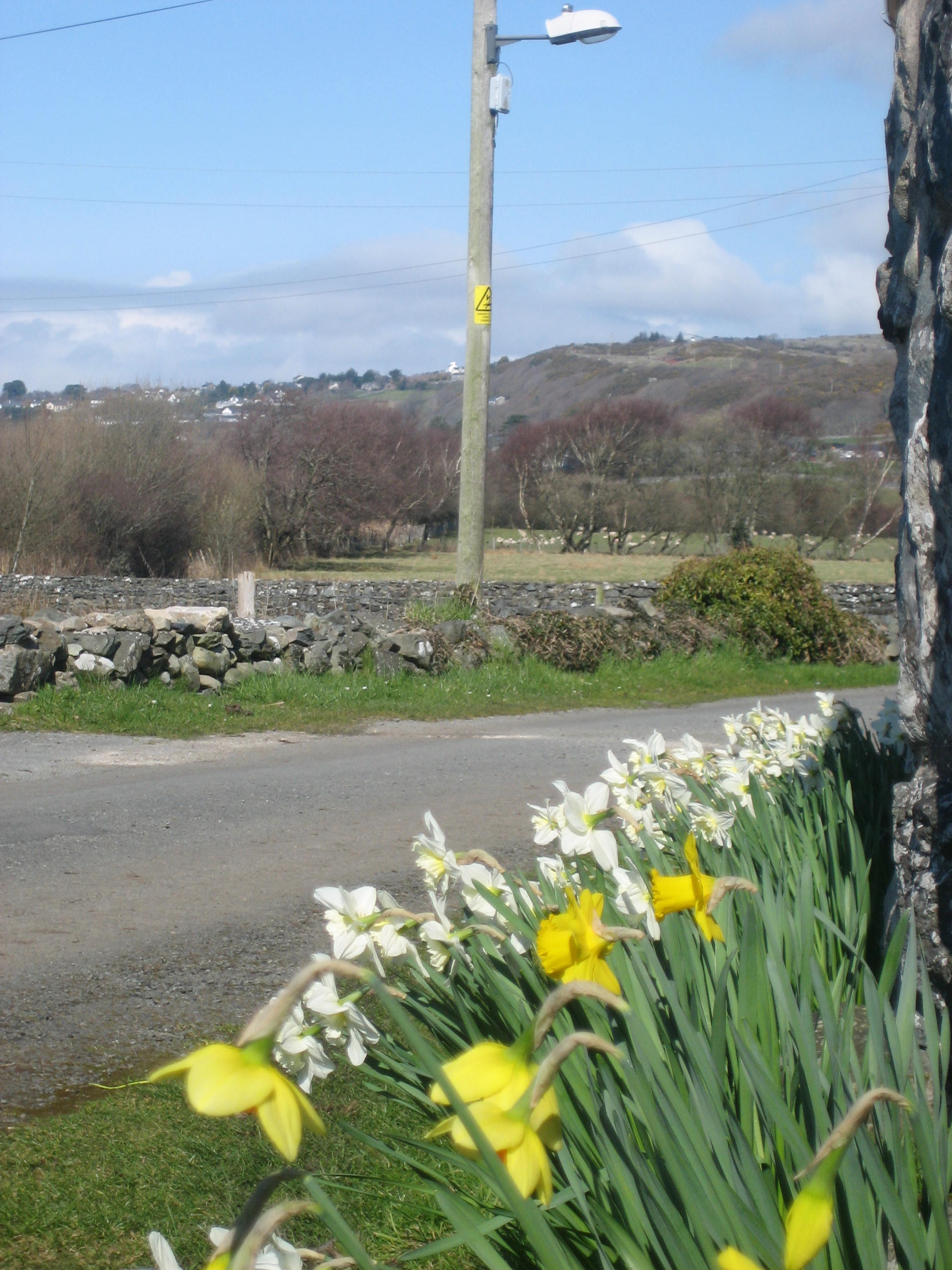 The lane to Talwrn Bach