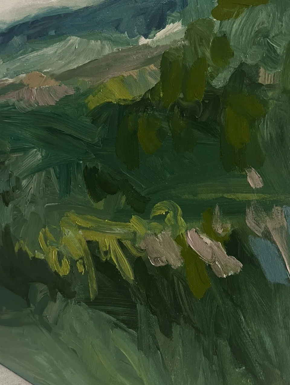 E0D7E40D-AB70-4A9F-A274-A7A3FA73344B.jpeg