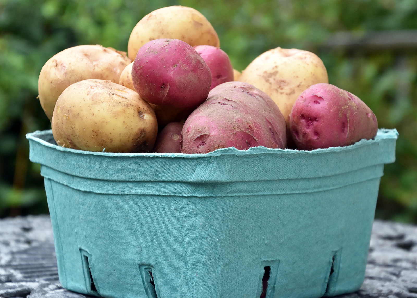 organic-farm-potatoes.jpg