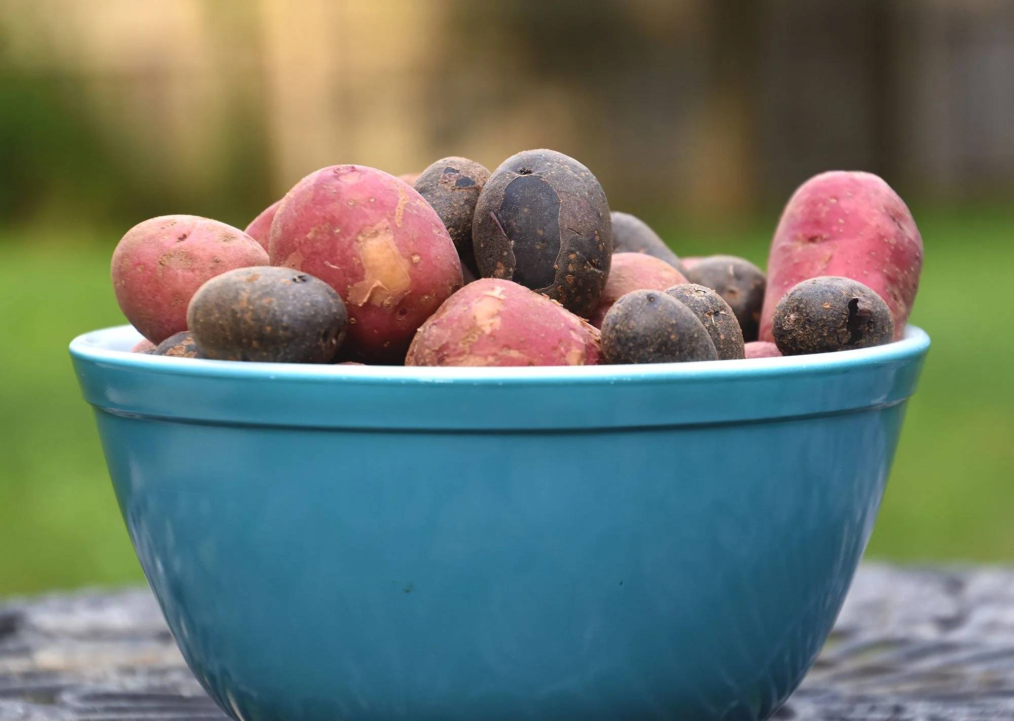 organic-potatoes.jpg