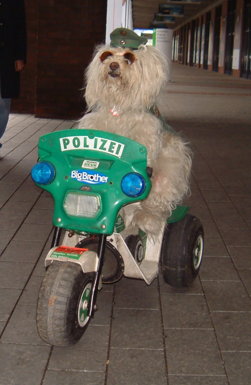 DSCF0012.jpg