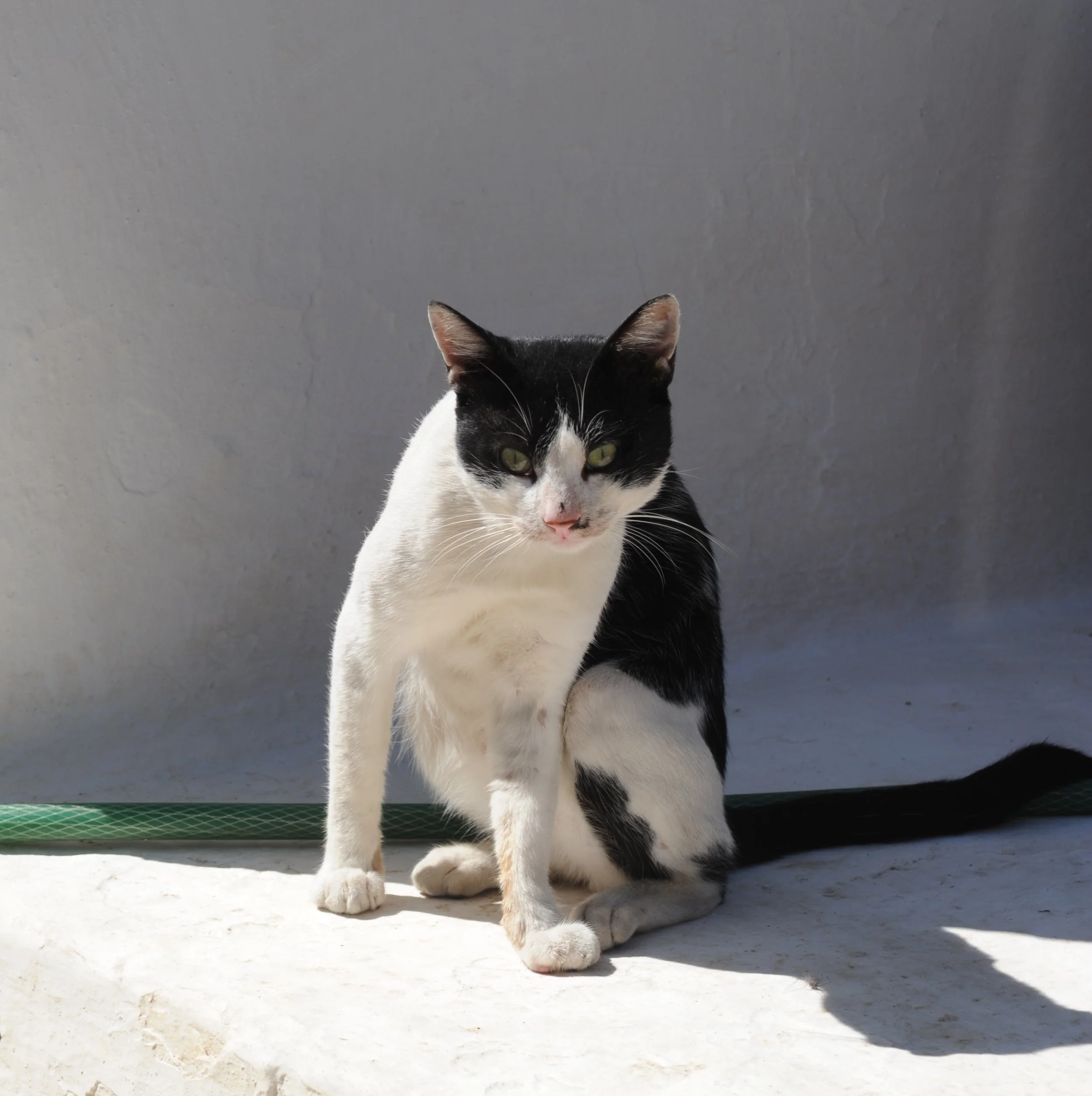 DSC_0801.jpg