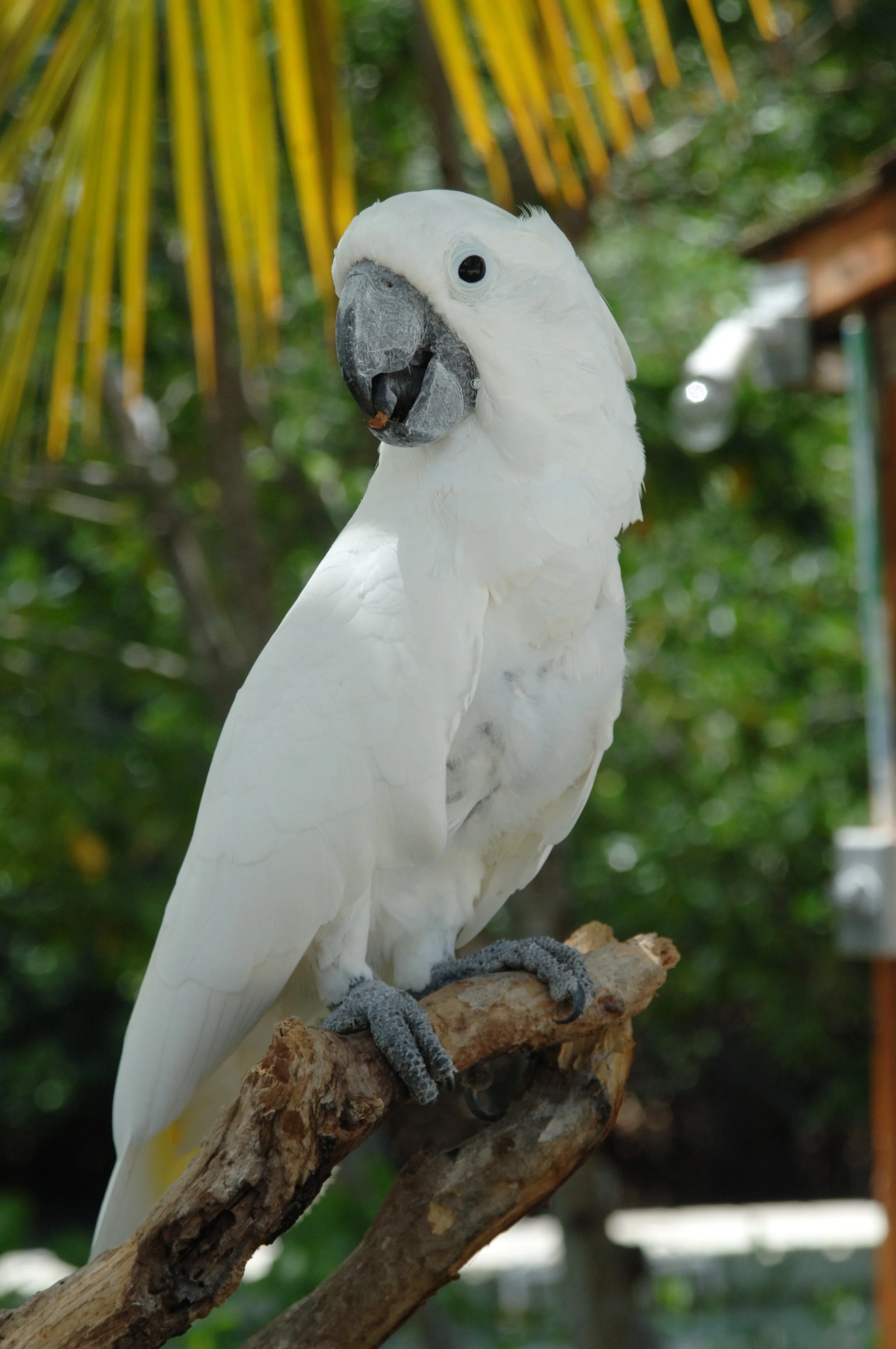 DSC_0192.jpg