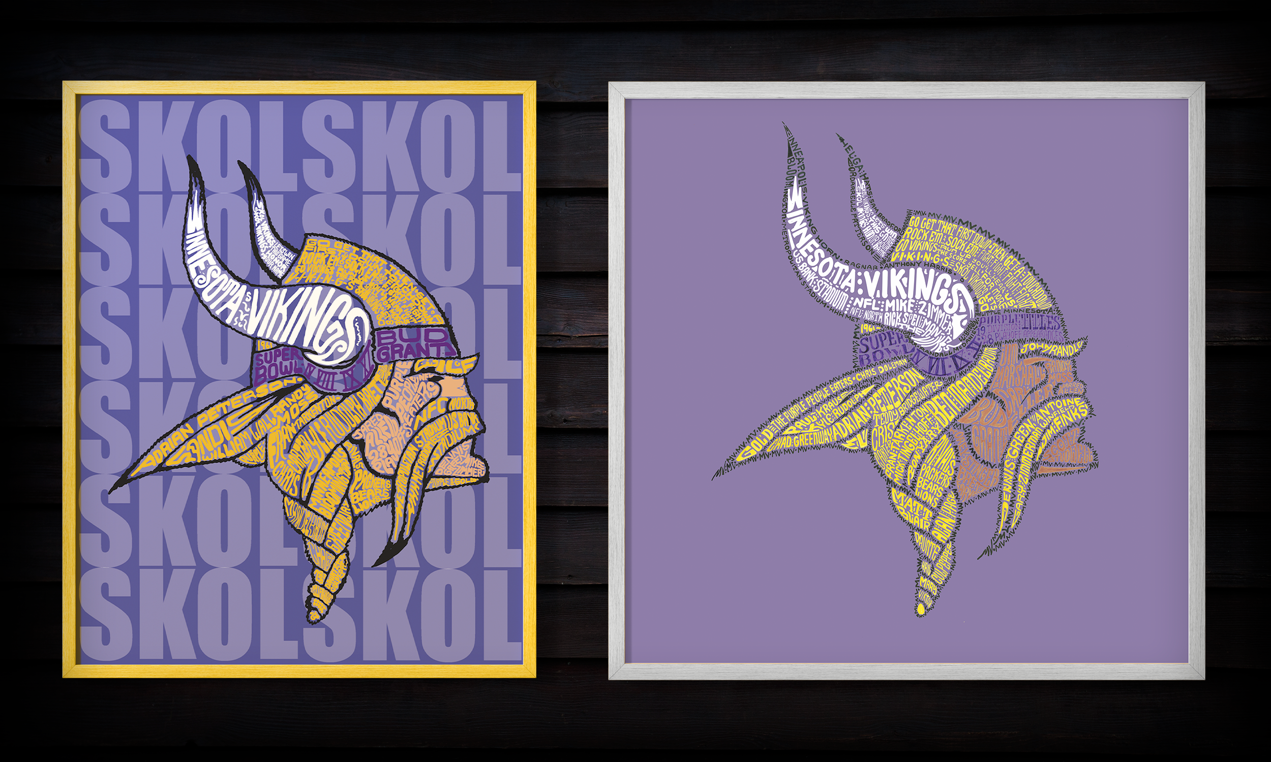 Minnesota Vikings Concepts 2016 & 2017