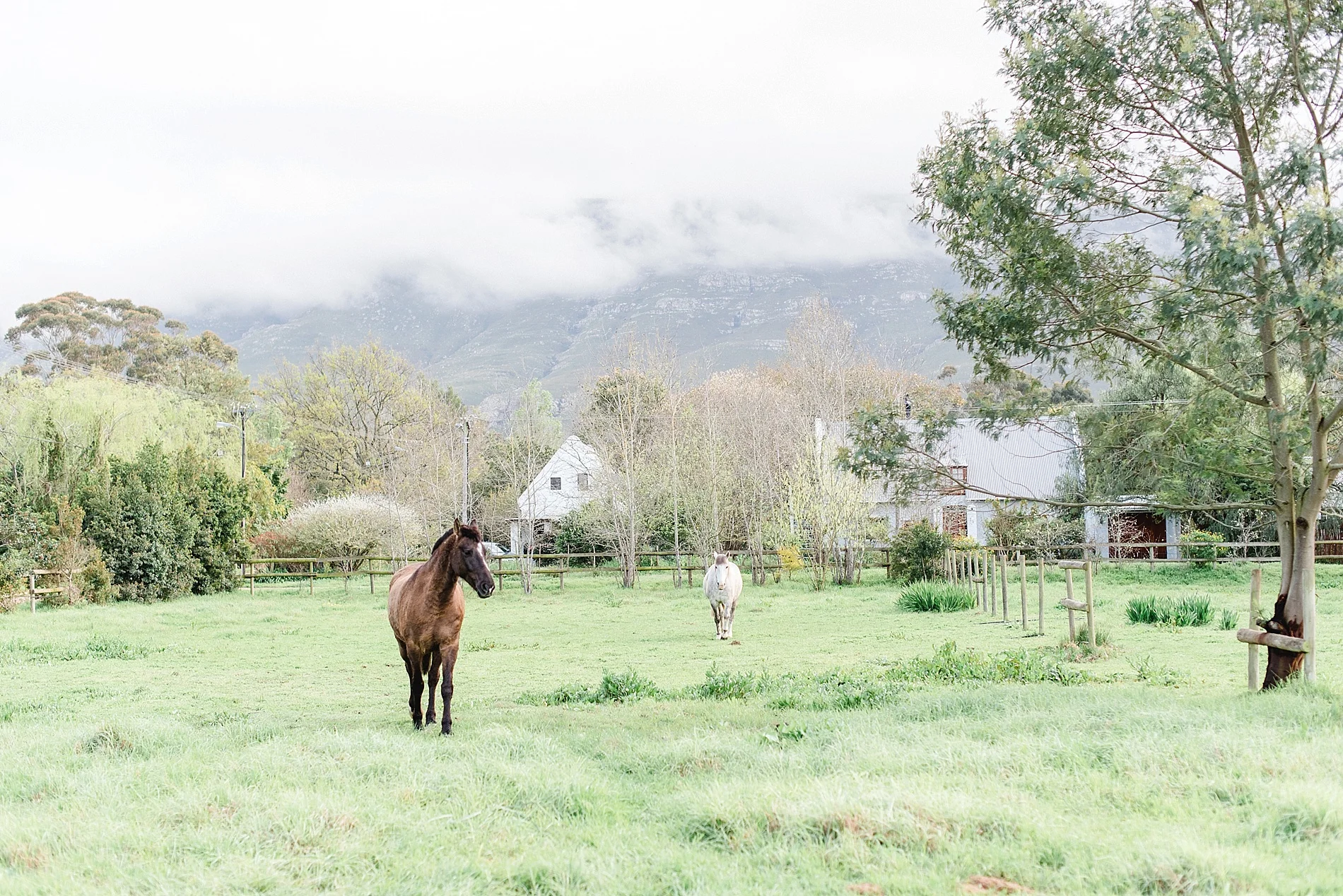 Getaway:  Greyton