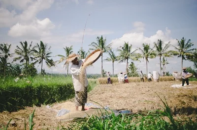 Bali:  Part 3 - Ubud