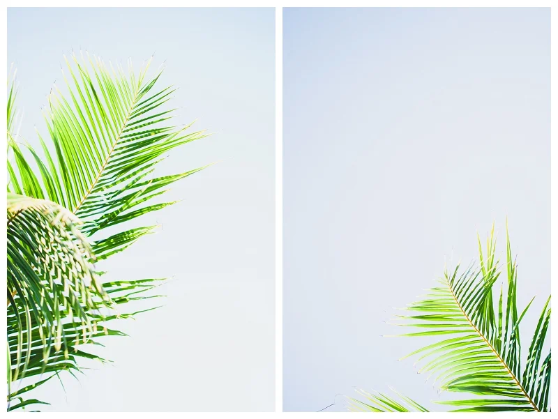 DarrenBesterPhotography_Bali2013_0036.jpg