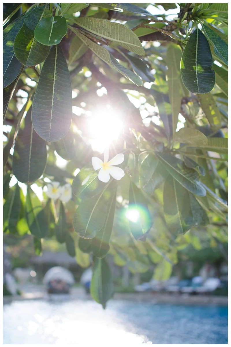 DarrenBesterPhotography_Bali2013_0037.jpg