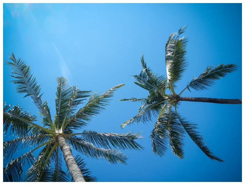 DarrenBesterPhotography_Bali2013_0046.jpg