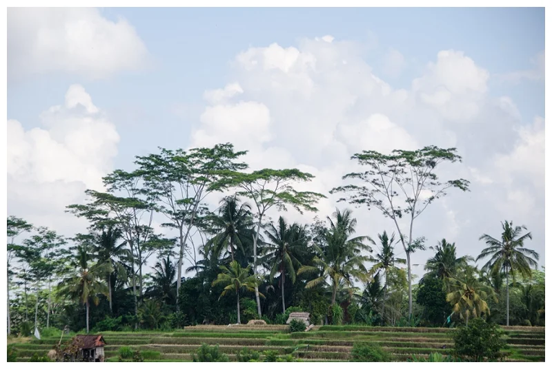 DarrenBesterPhotography_Bali2013_0150.jpg