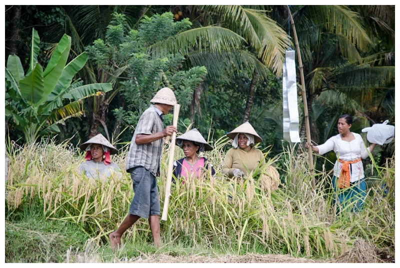 DarrenBesterPhotography_Bali2013_0151.jpg