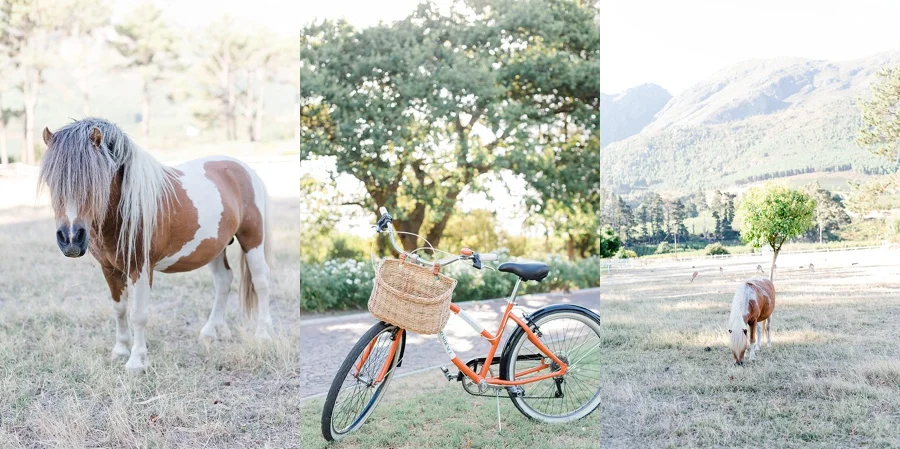 Darren Bester - Cape Town Wedding Photographer - The Royal Portfolio -La Residence - Franschhoek - Shirley and Andre_0094.jpg