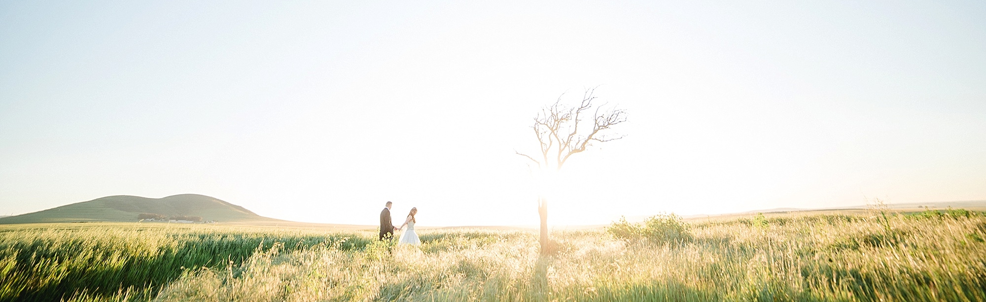 Darren-Bester-Cape-Town-Wedding-Photographer-Eensgezind-Function-Venue-Roger-Amanda_0059-1.jpg