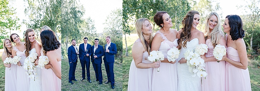 Darren-Bester-Cape-Town-Wedding-Photographer-Lothian-Vineyards-Dan-and-Janine_0041.jpg