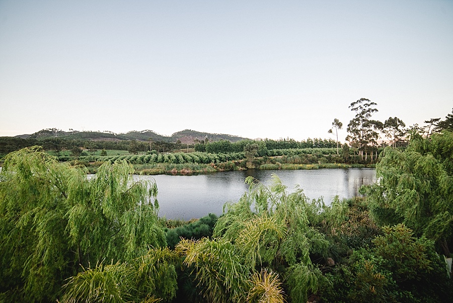 Darren-Bester-Cape-Town-Wedding-Photographer-Lothian-Vineyards-Dan-and-Janine_0073.jpg