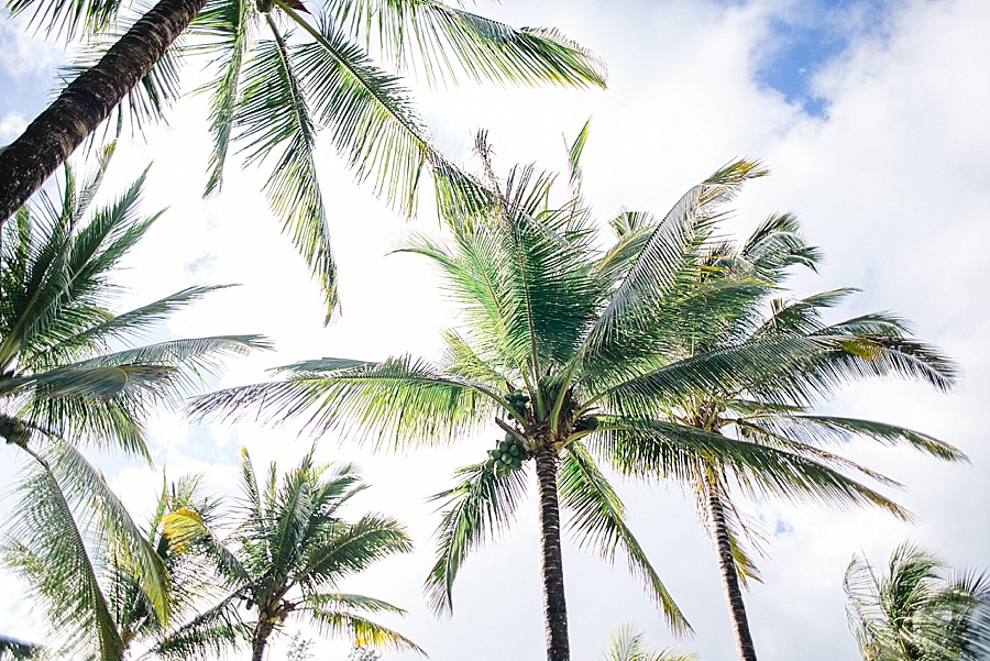 Darren_Bester_Cape_Town_Wedding_Photographer_LIfestyle_Mauritius_0022.jpg