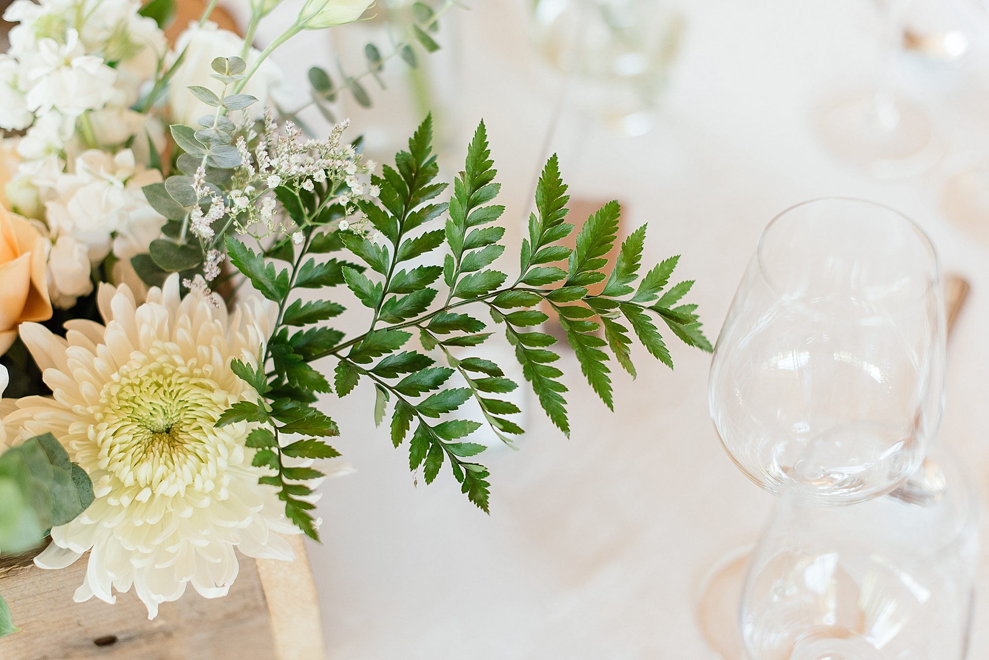 Darren_Bester_Cape_Town_Wedding_Photographer_Old_Mac_Daddy_0032.jpg
