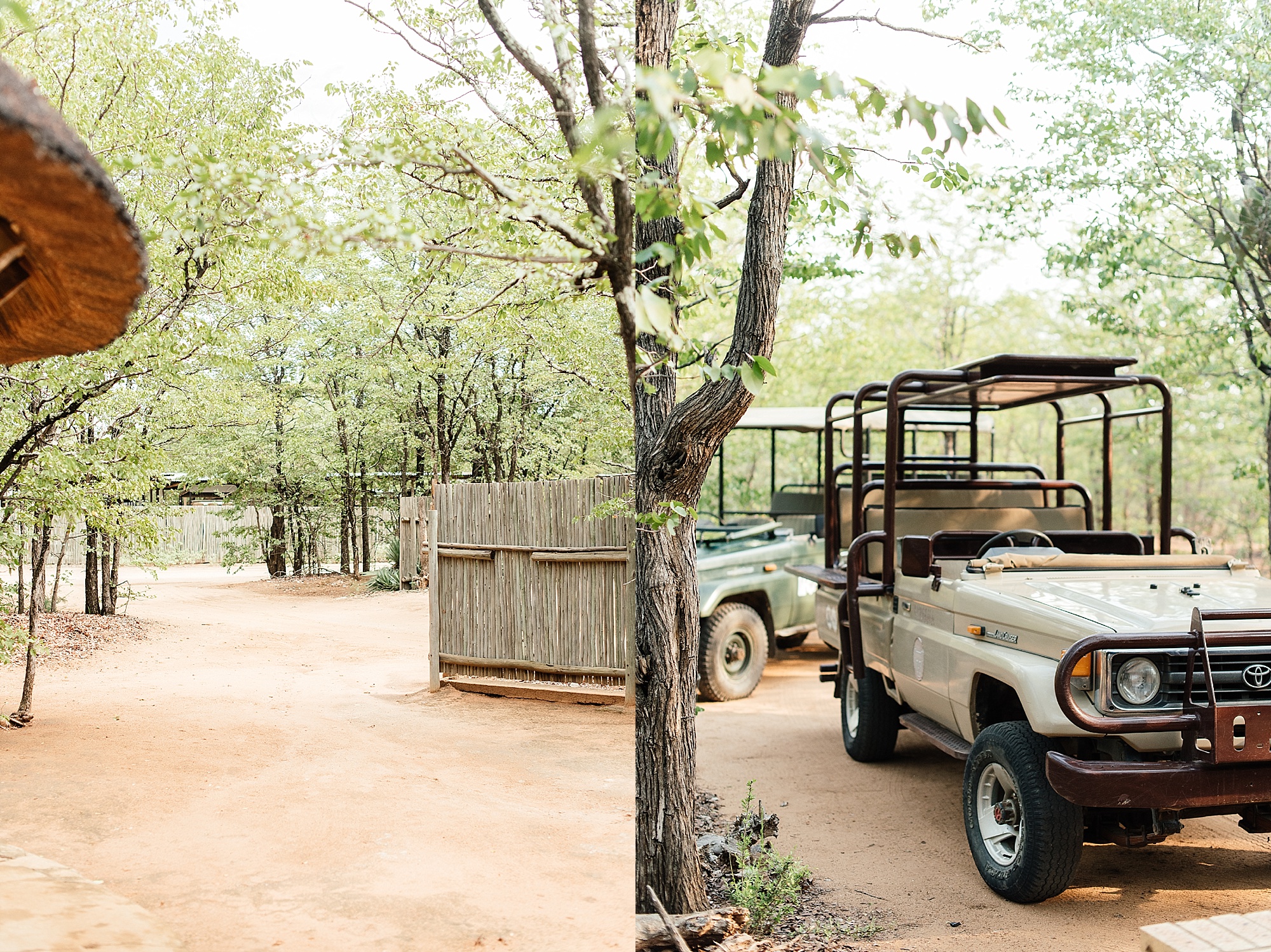 Darren_Bester_Travel_Photographer_Ingwelela_Kruger_Safari_0002.jpg
