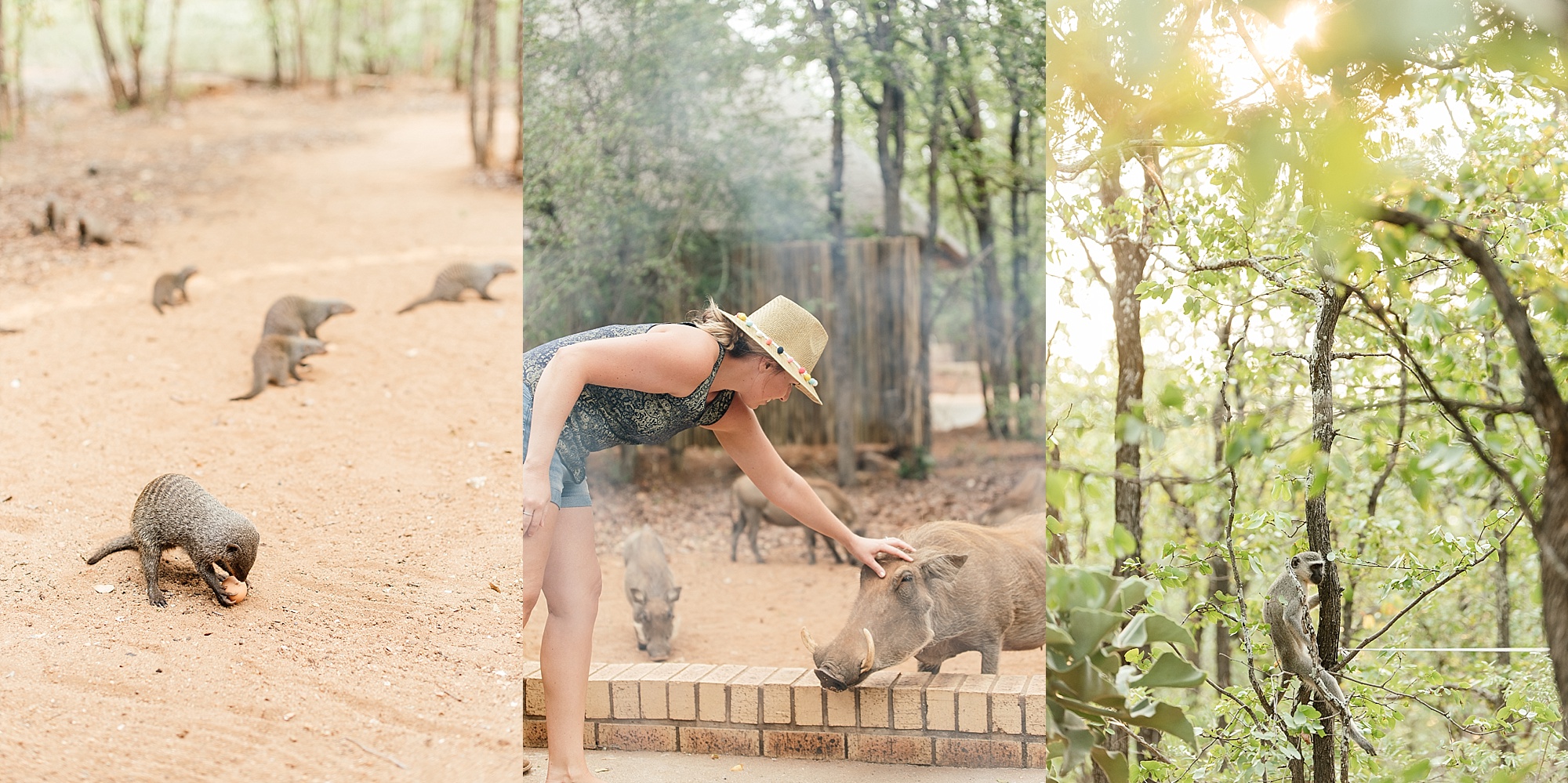 Darren_Bester_Travel_Photographer_Ingwelela_Kruger_Safari_0005.jpg