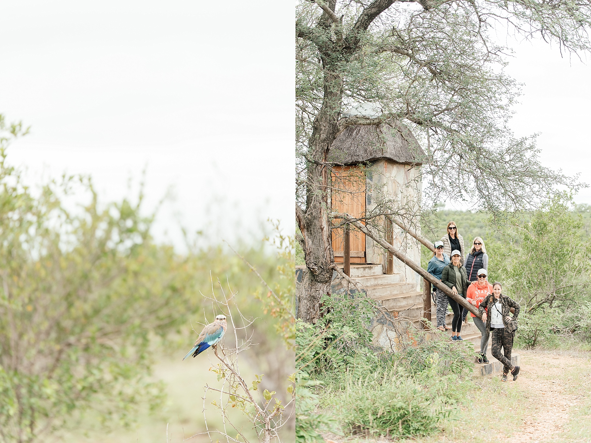 Darren_Bester_Travel_Photographer_Ingwelela_Kruger_Safari_0020.jpg