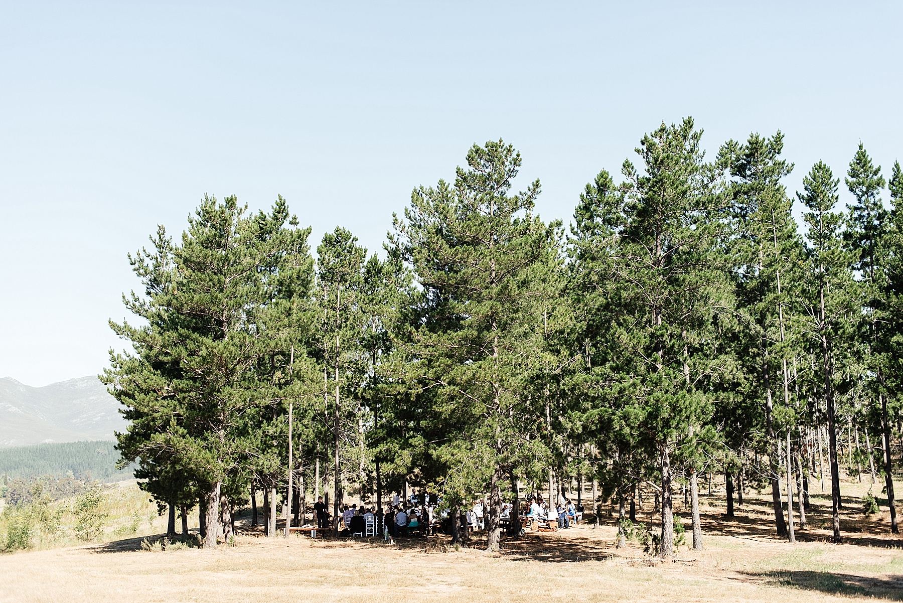 Cape Town Wedding Photographer Darren Bester - Paul Cluver Wedding - Caitlyn and Corbin_0016.jpg