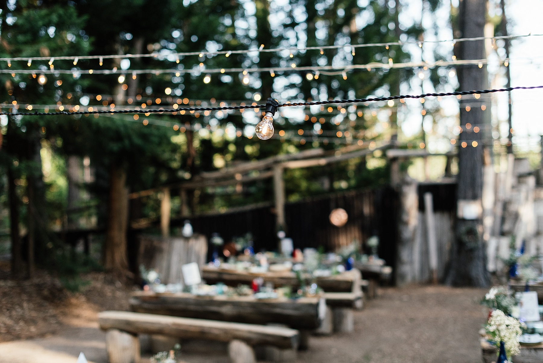 Cape Town Wedding Photographer Darren Bester - Paul Cluver Wedding - Caitlyn and Corbin_0048.jpg