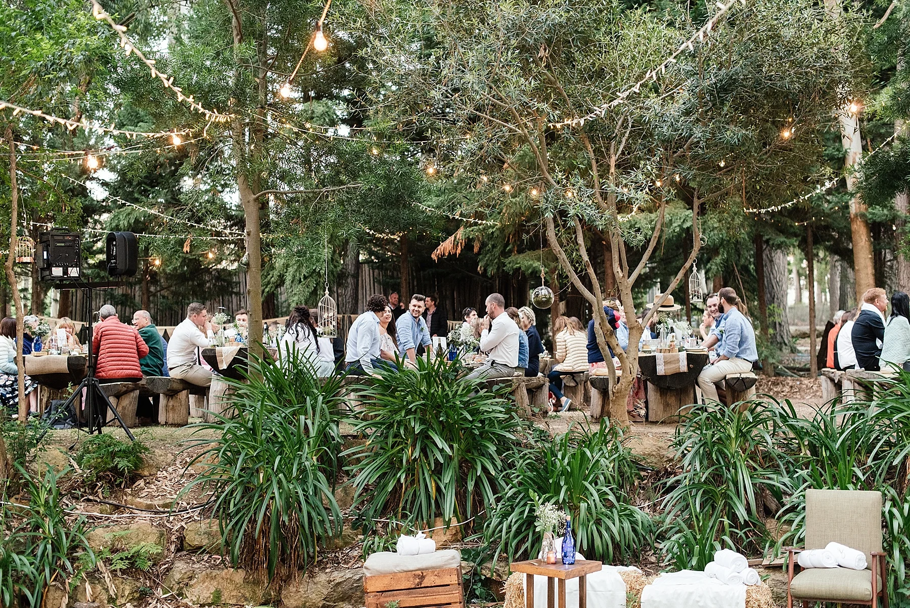 Cape Town Wedding Photographer Darren Bester - Paul Cluver Wedding - Caitlyn and Corbin_0051.jpg