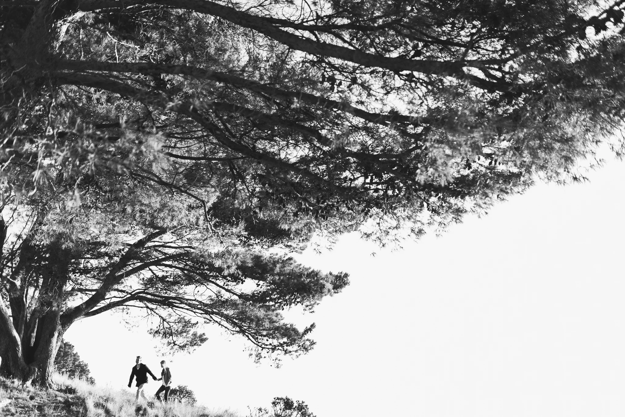 www.darrenbester.co.za - Steven & Nicole-006.jpg