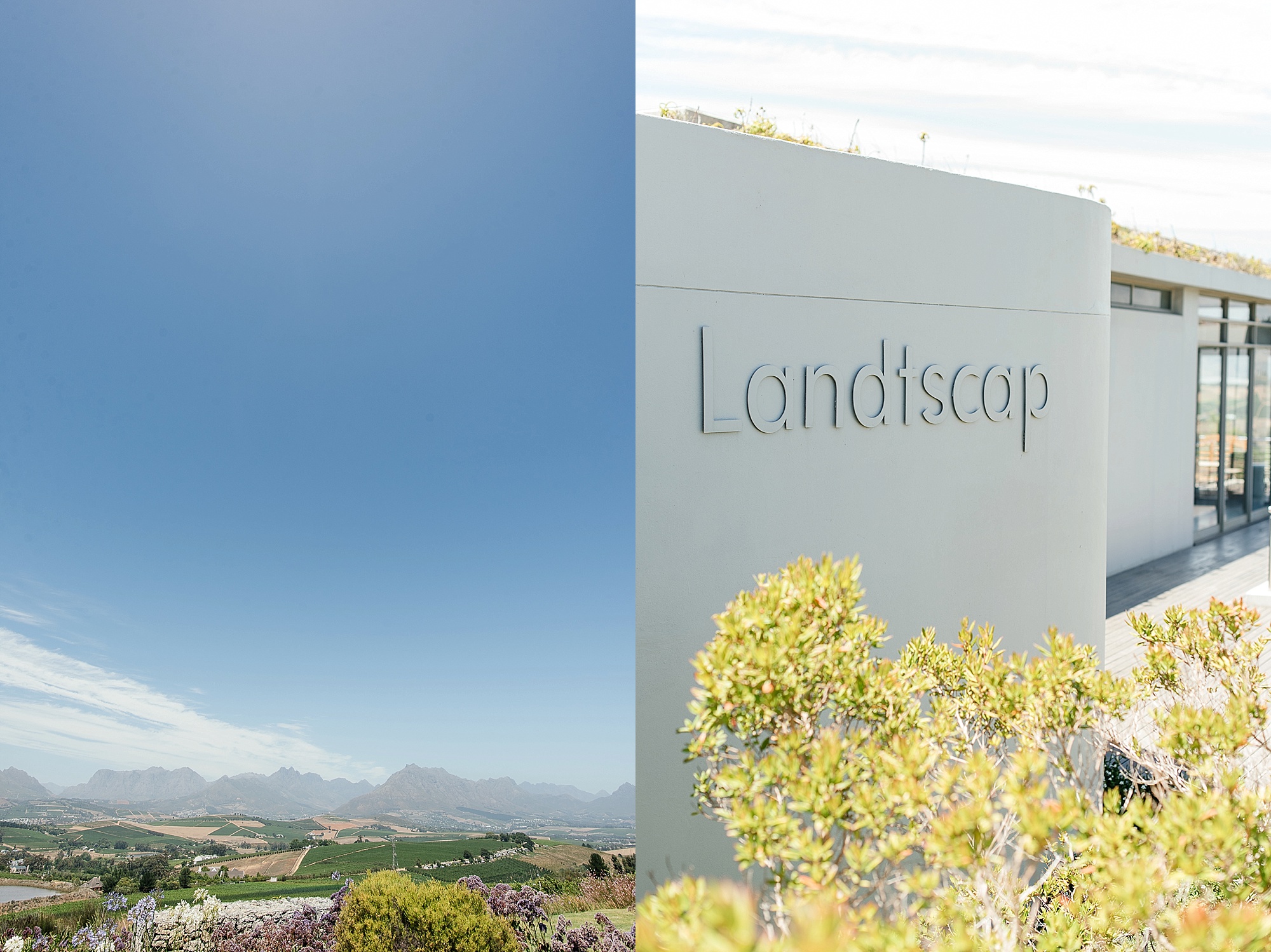 Cape Town Wedding Photographer Darren Bester - Landtscap - Shireen and Matthias_0003.jpg