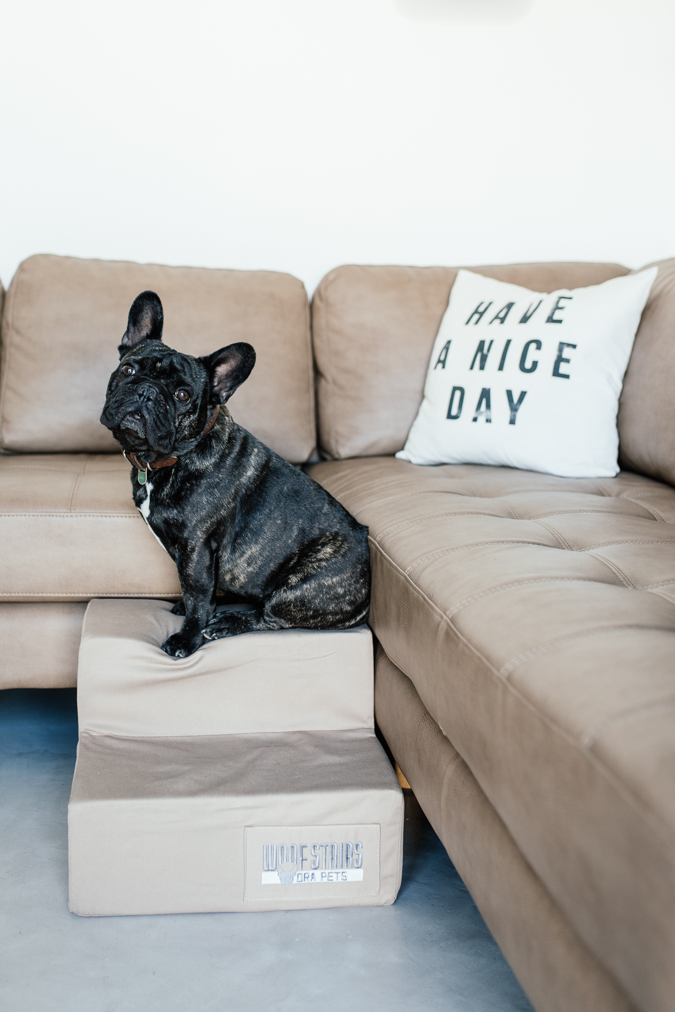 www.darrenbester.co.za_WoofSeat-039.jpg