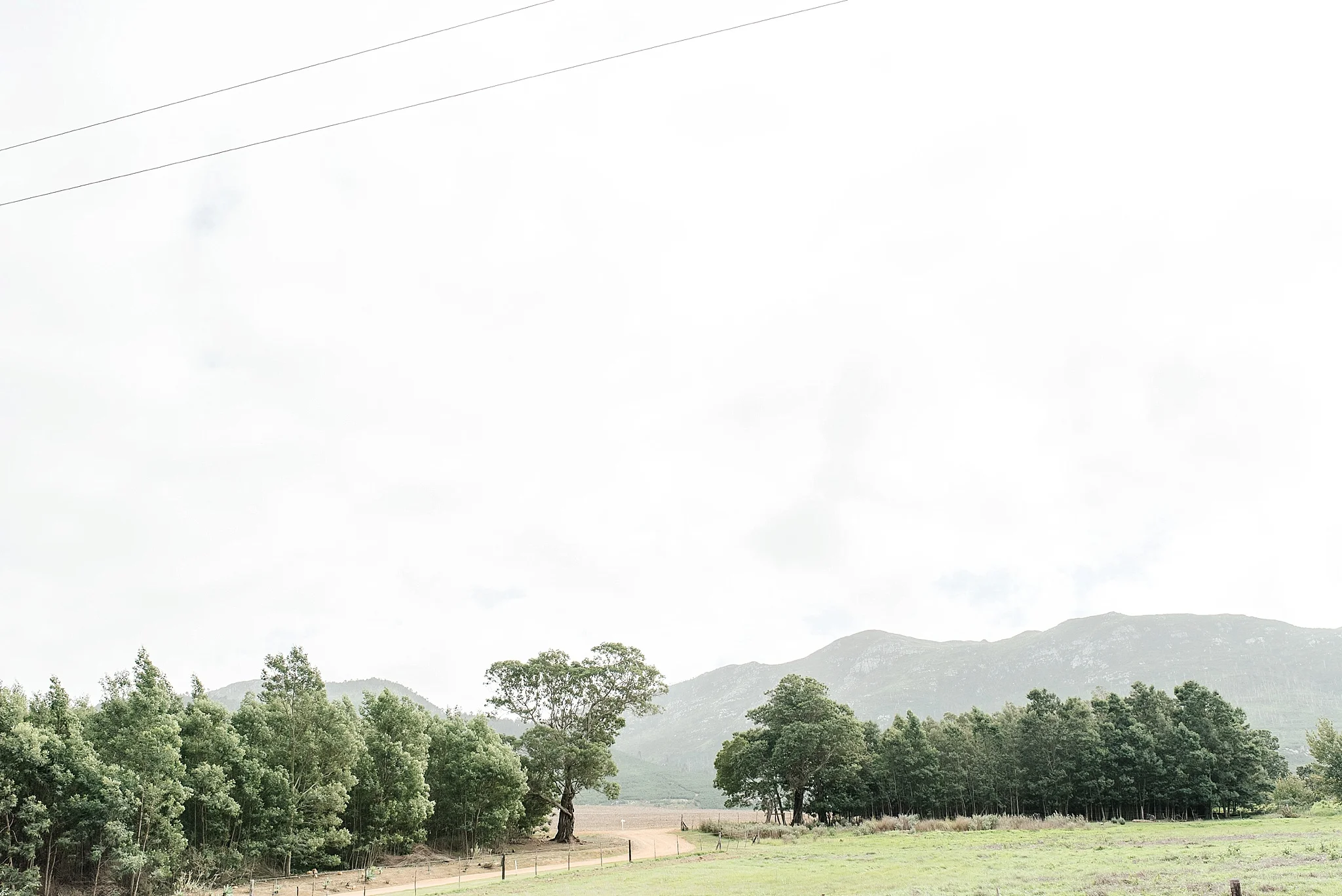 Cape Town Photographer Darren Bester - Die Woud Wedding - Gareth & Roxanne_0067.jpg