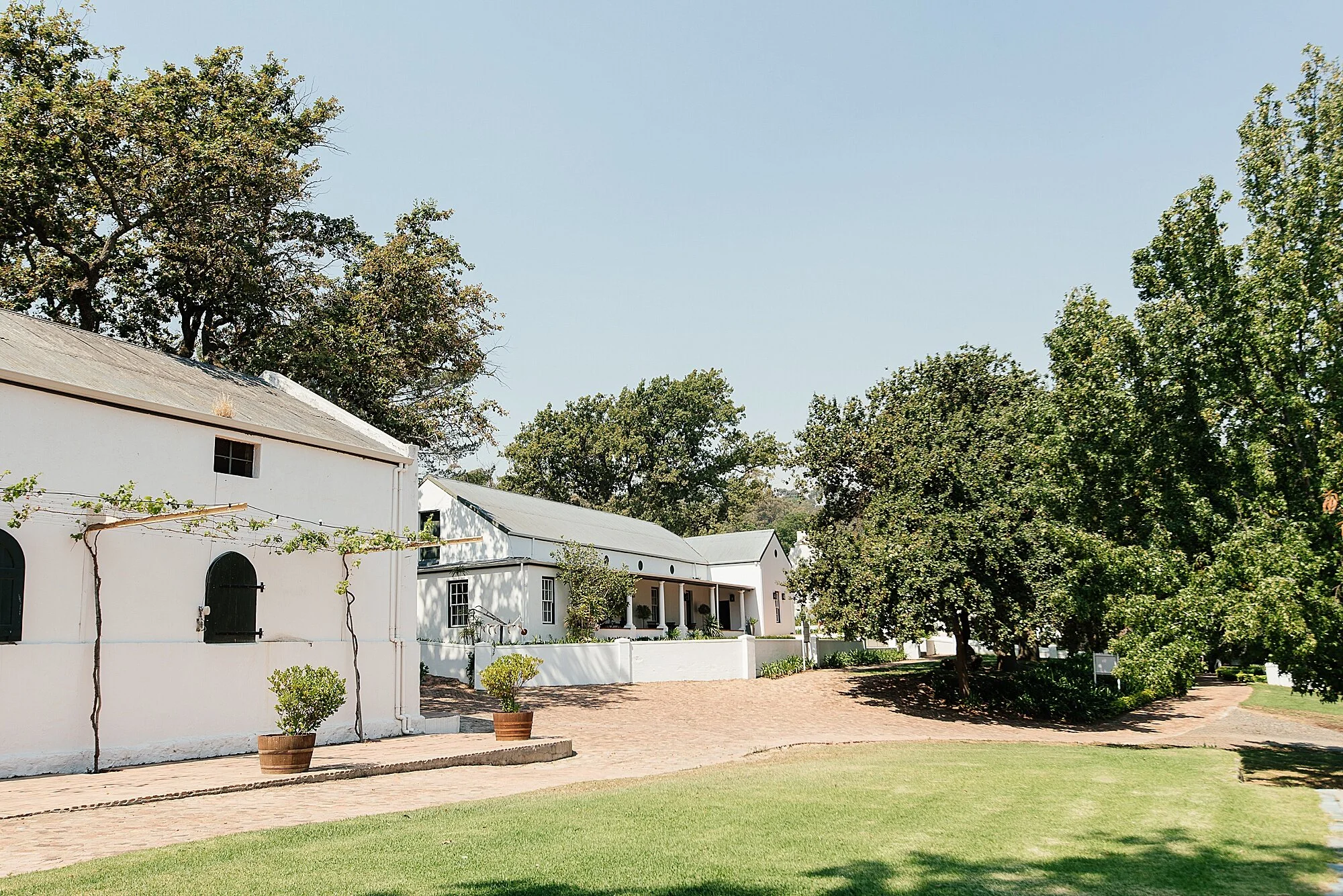 Cape Town Wedding Photographer Darren Bester - Diamant Estate_0008.jpg