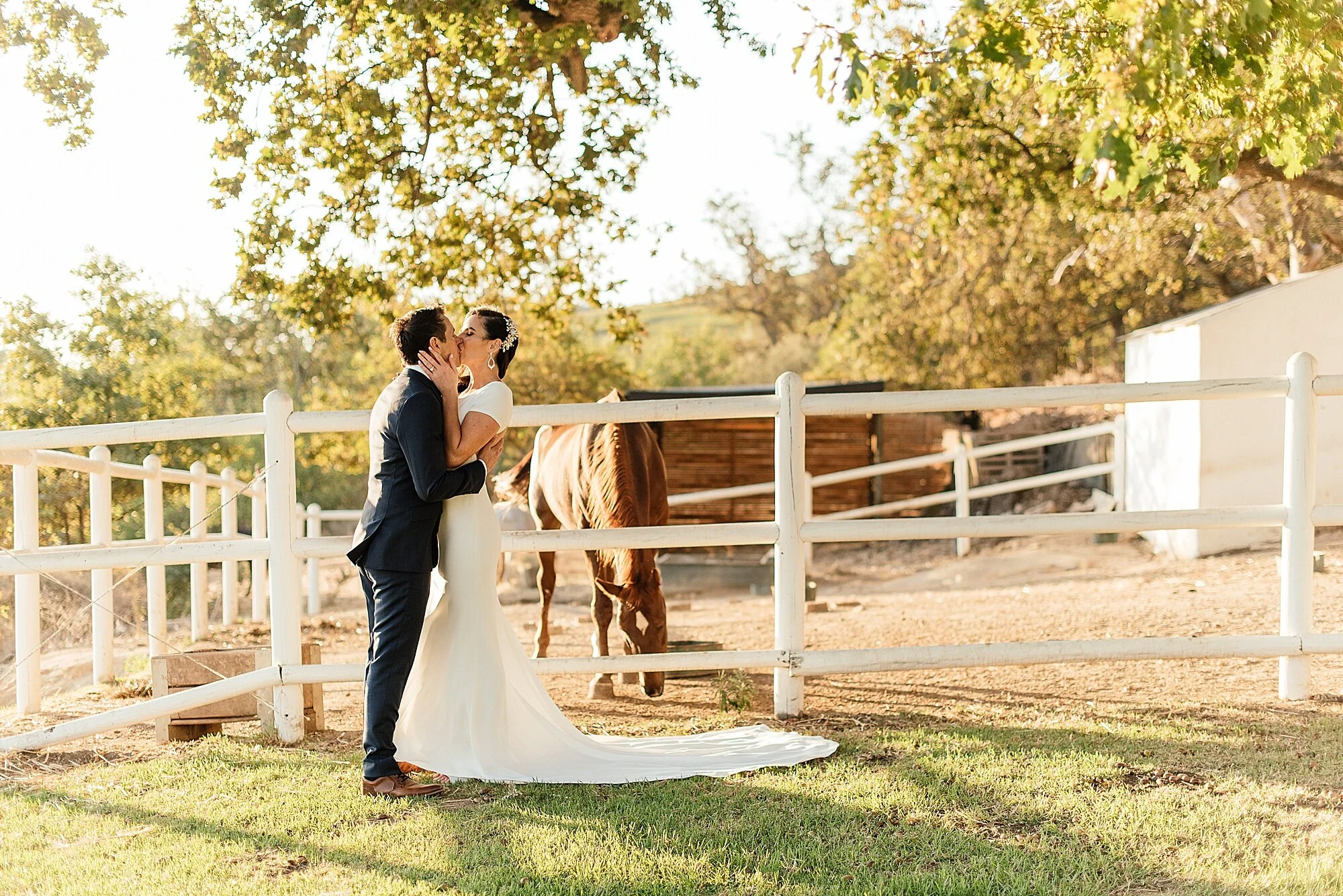 Cape Town Wedding Photographer Darren Bester - Diamant Estate_0030.jpg
