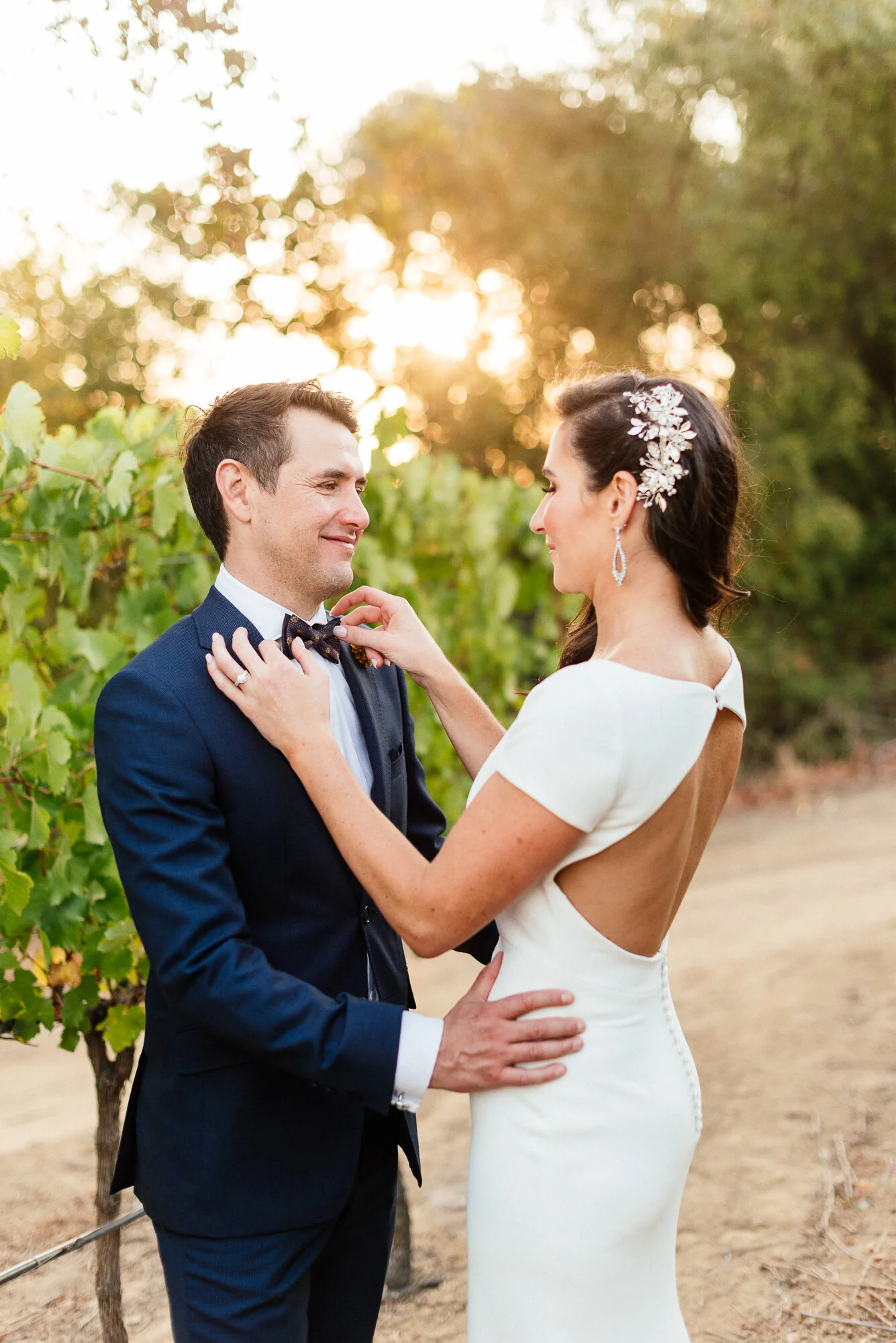 www.darrenbester.co.za_Diamant Estate Paarl.jpg