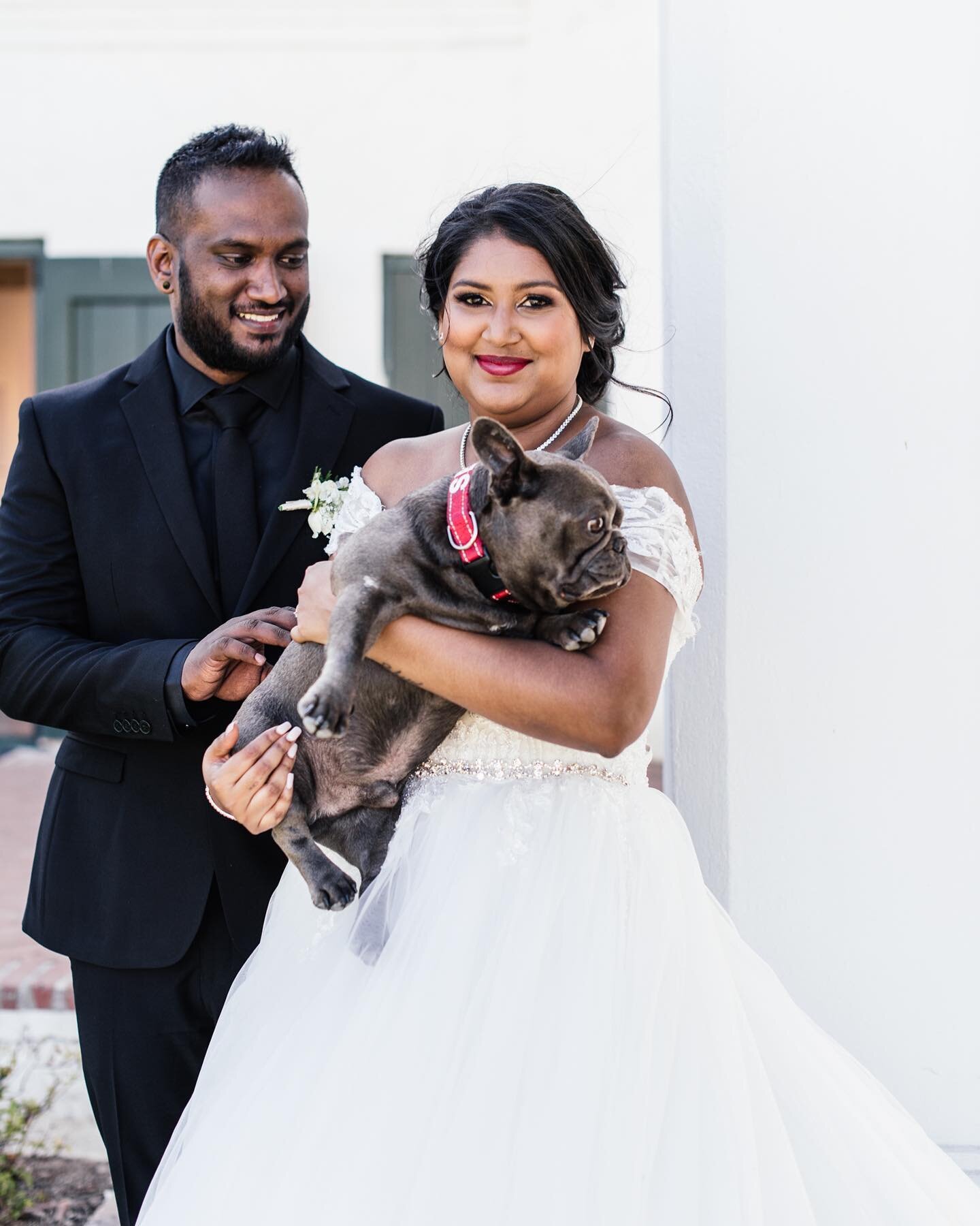 As a French Bulldog owner, I assure you I love this breed, so if you&rsquo;re able to find one during your couple shoot, then yes, 100% let&rsquo;s wrangle him over and see if he&rsquo;s keen for some pics. 

That&rsquo;s exactly what Nikita and Malc