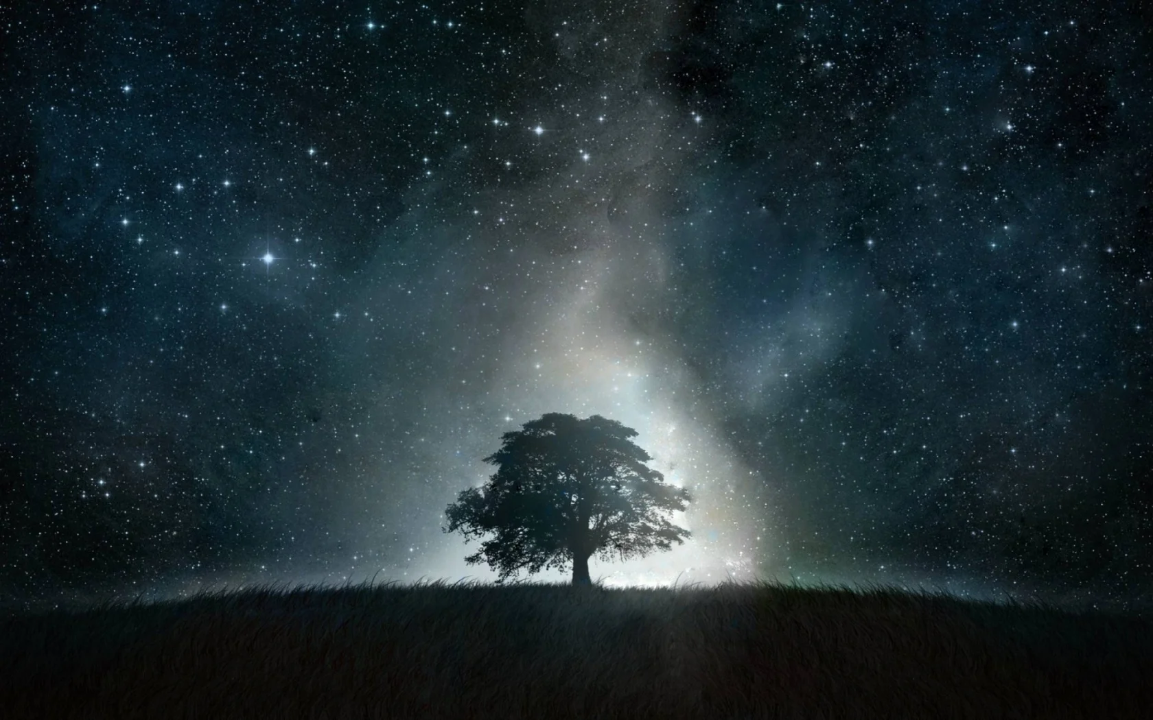 ws_Tree_Grass_Stars_Glowing_Night_1680x1050 (1).jpg