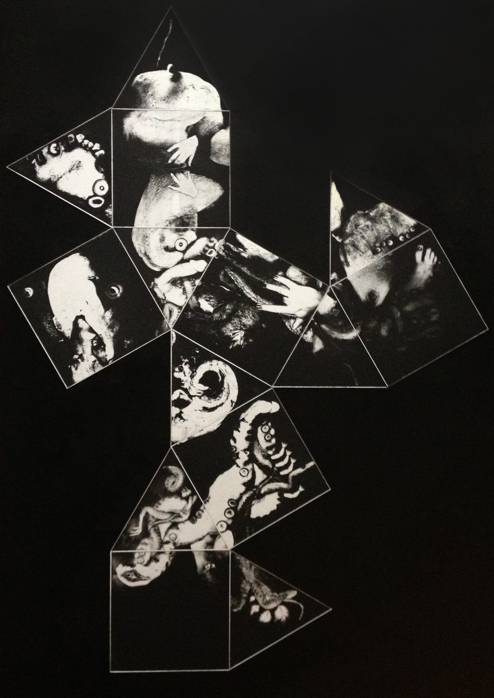 Unravelled Cadaver, 14 Plate Etching and Relief Print