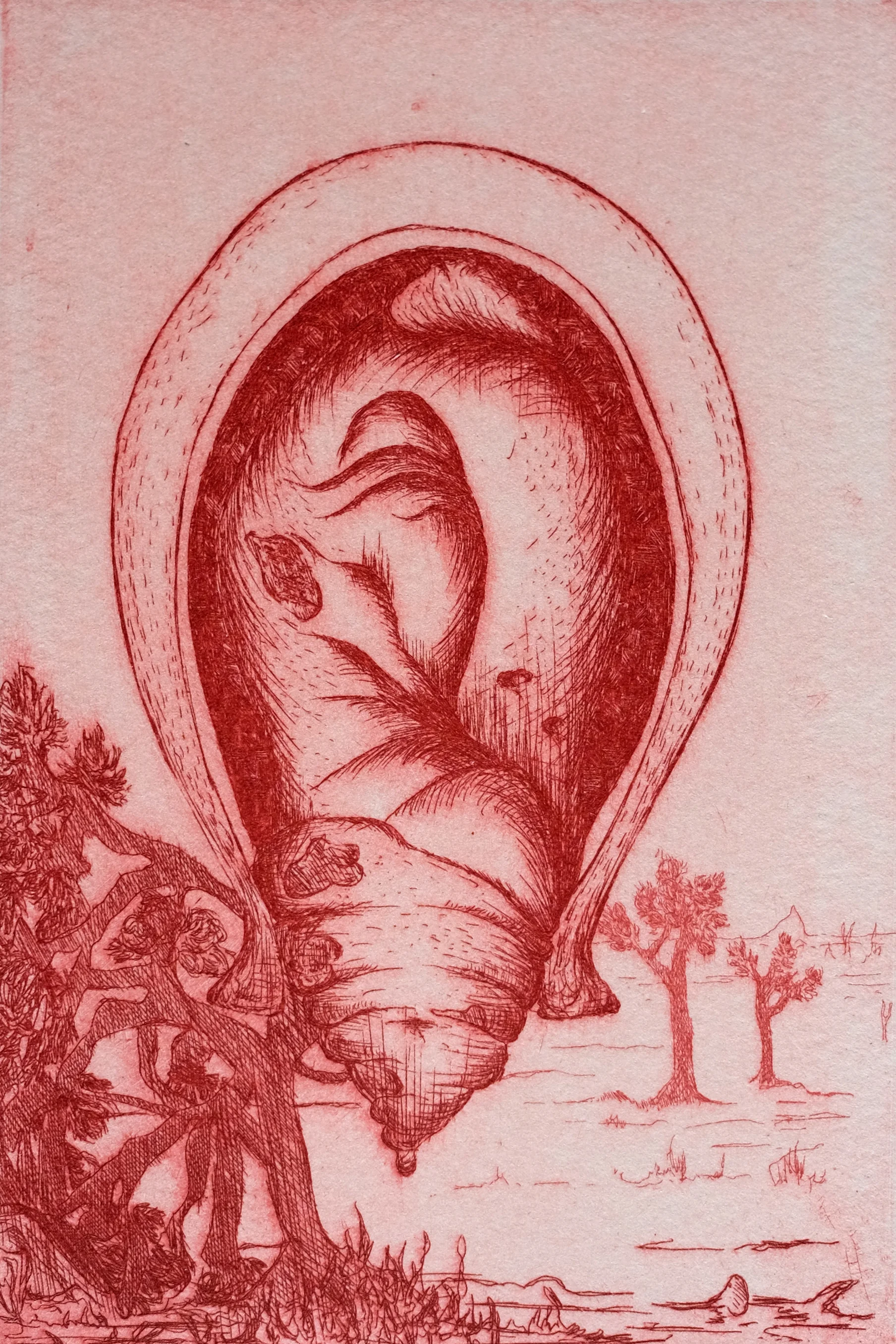 A Womb with a View XI