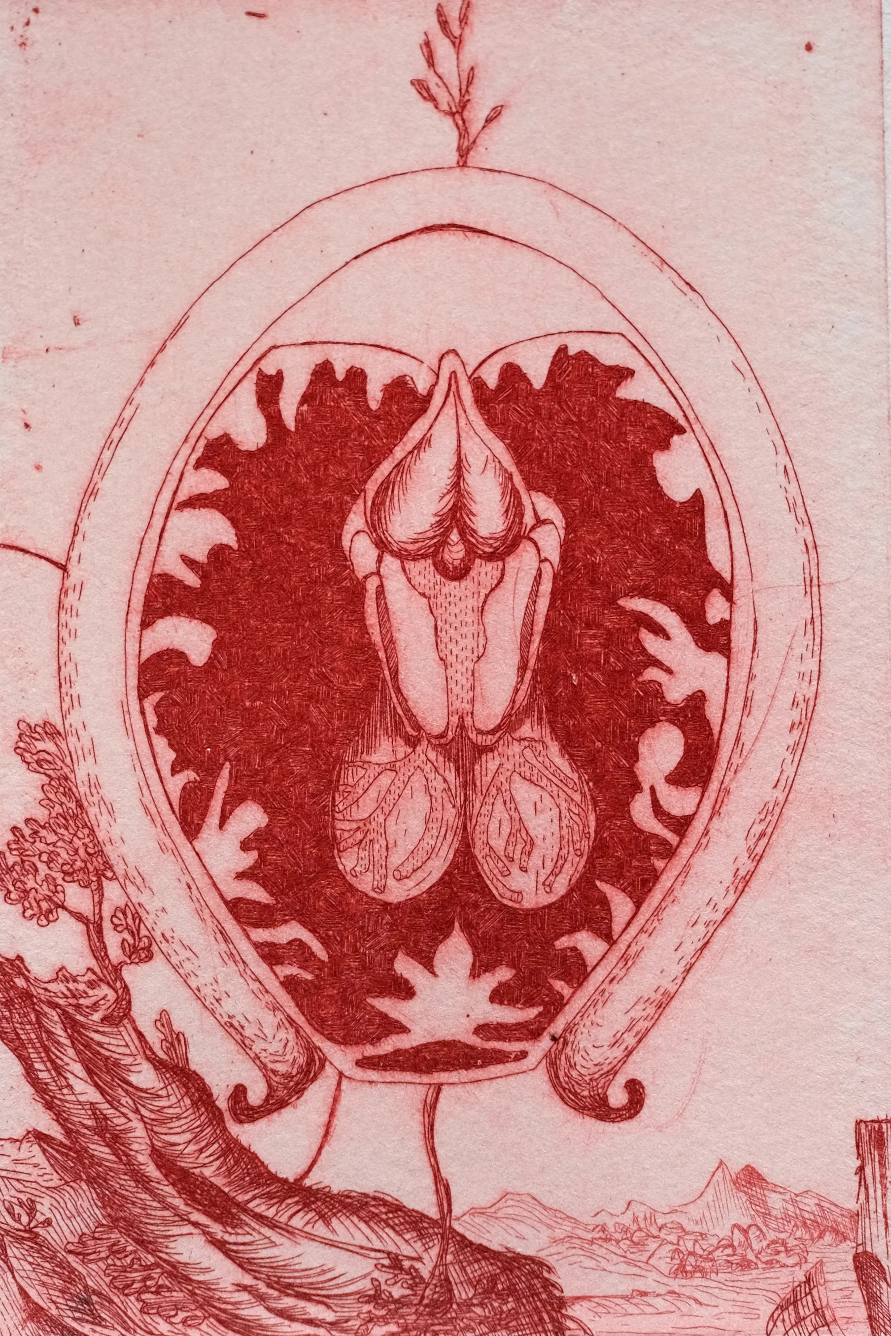 A Womb with a View XV