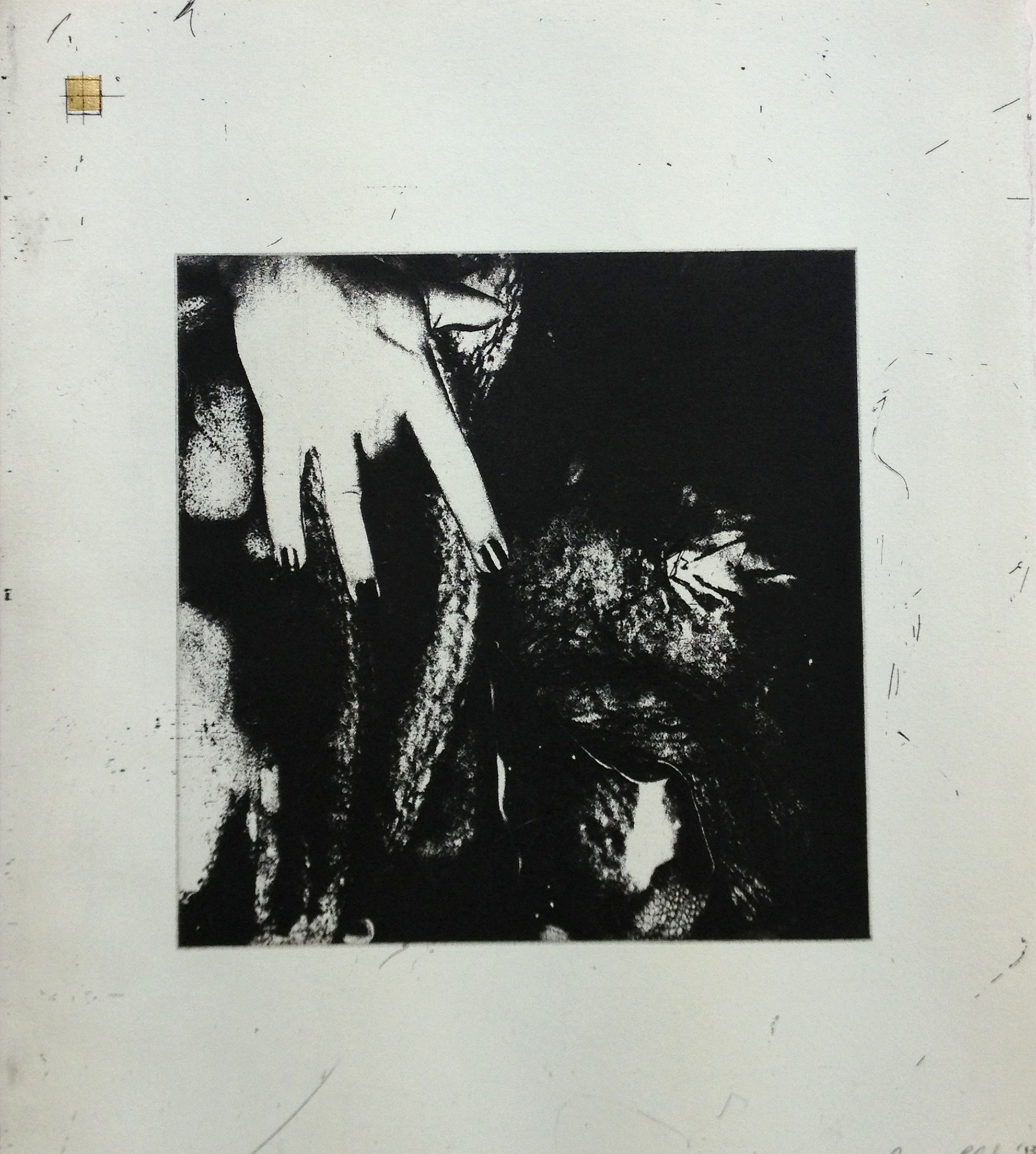 Cervix Uteri, Etching with golf leaf
